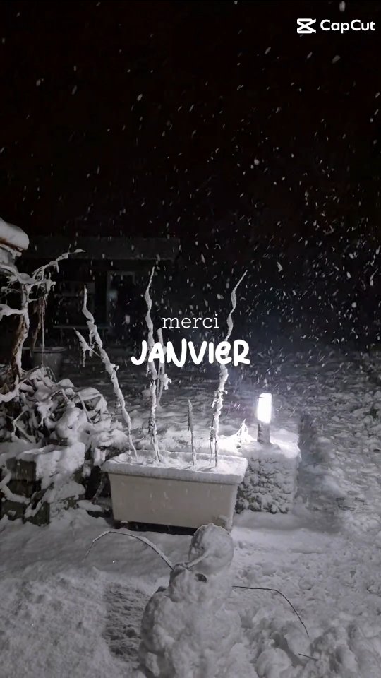 Merci Janvier
Merci de nous avoir amené tout cet imprévu pour nous rappeler que le vivant est plus puissant que nous.
Merci toutes ces belles rencontres et ce début d'année qui démarre très bien.