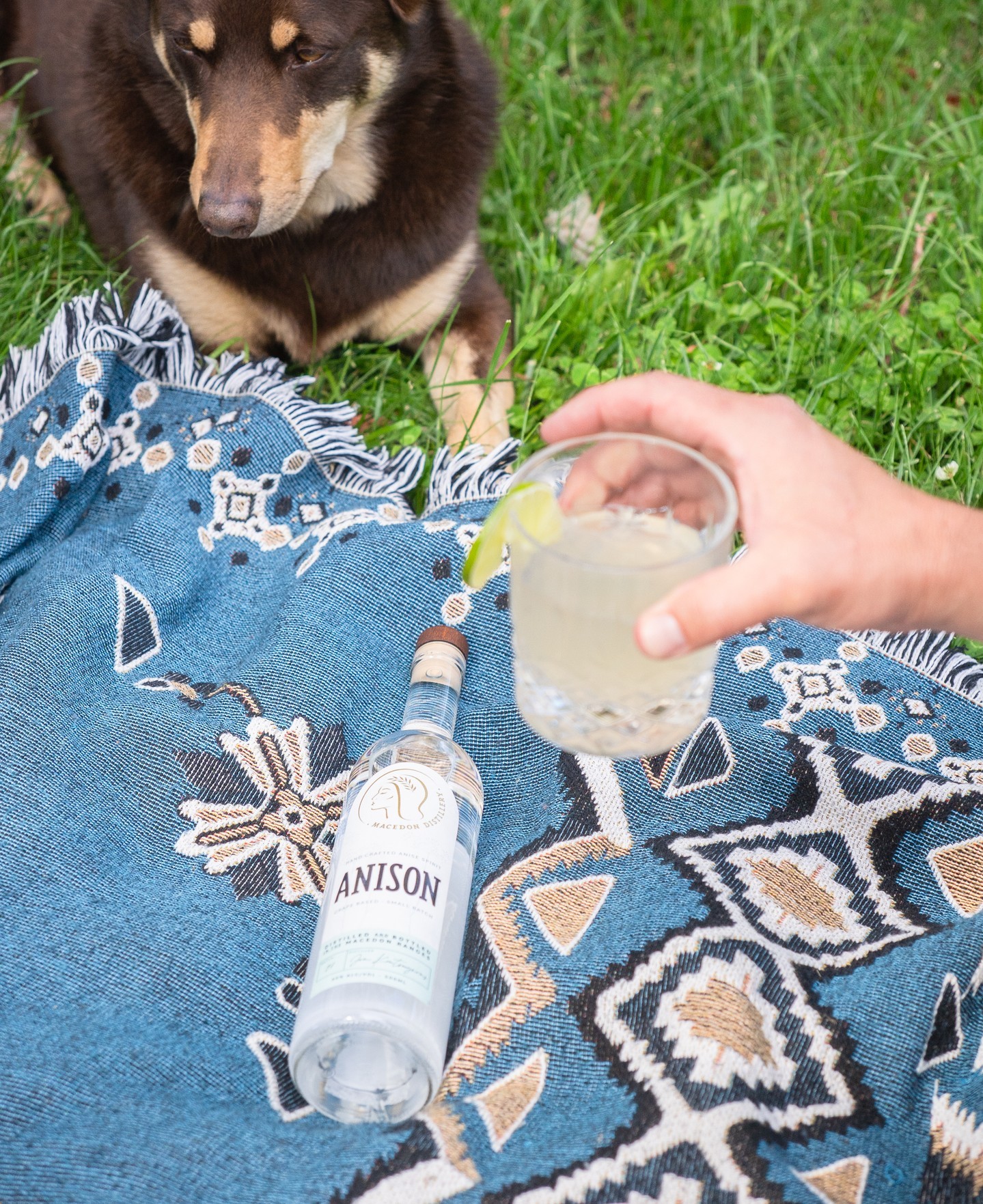 Long, warm days in the Macedon Ranges mean one thing: adventures with Marlon and Albert 🐾. As we soak up summer, we’re also gearing up for a year of exciting plans and new chapters.
Stay close—2025 has a few surprises we can’t wait to share with you!
.
.
.
.
.
.
#macedondistillery #anison #daylesfordmacedonranges #daylesfordmacedonlife #macedonranges #macedonrangesfoodies #melbournefoodies #macedon #romsey #lancefield #melbournebartender #melbournecocktails