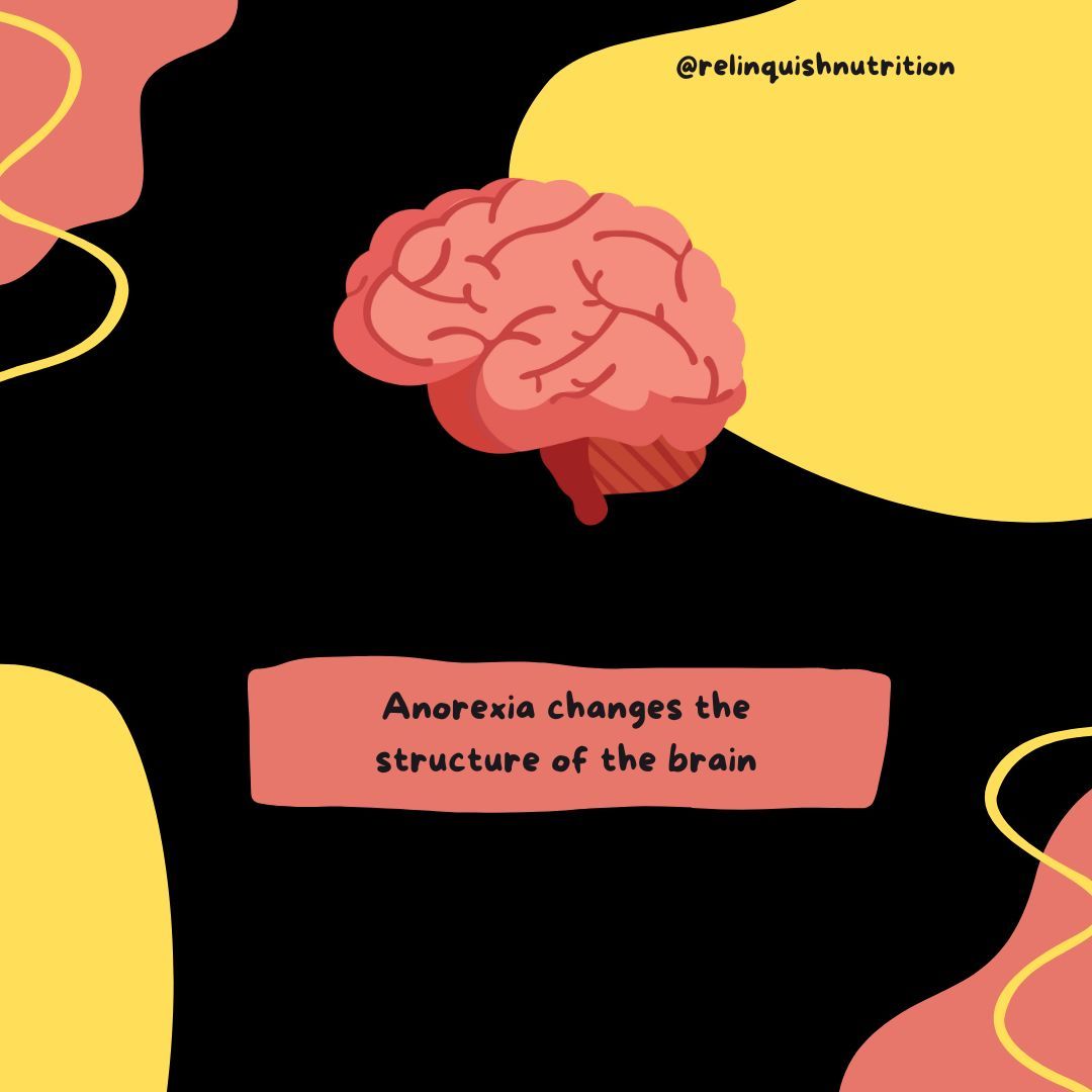 Anorexia affects the brain by shrinking gray and white matter. This can impact thinking, emotions, and self-perception. 🧠
The good news is the brain can improve with recovery and proper nutrition. 🍔🥛🙌