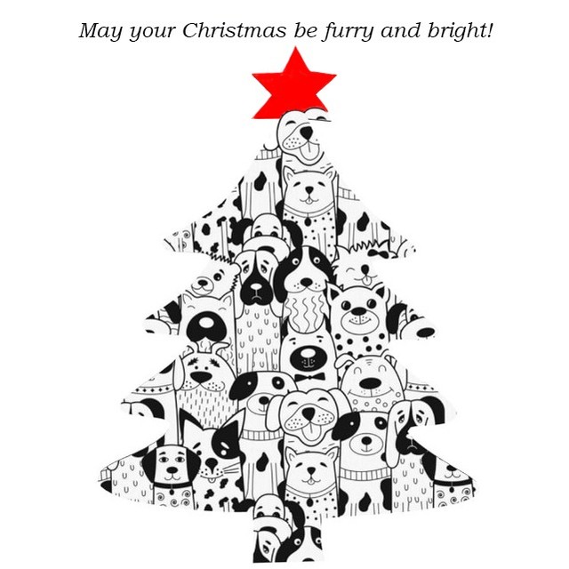 May your Christmas be furry and bright!
