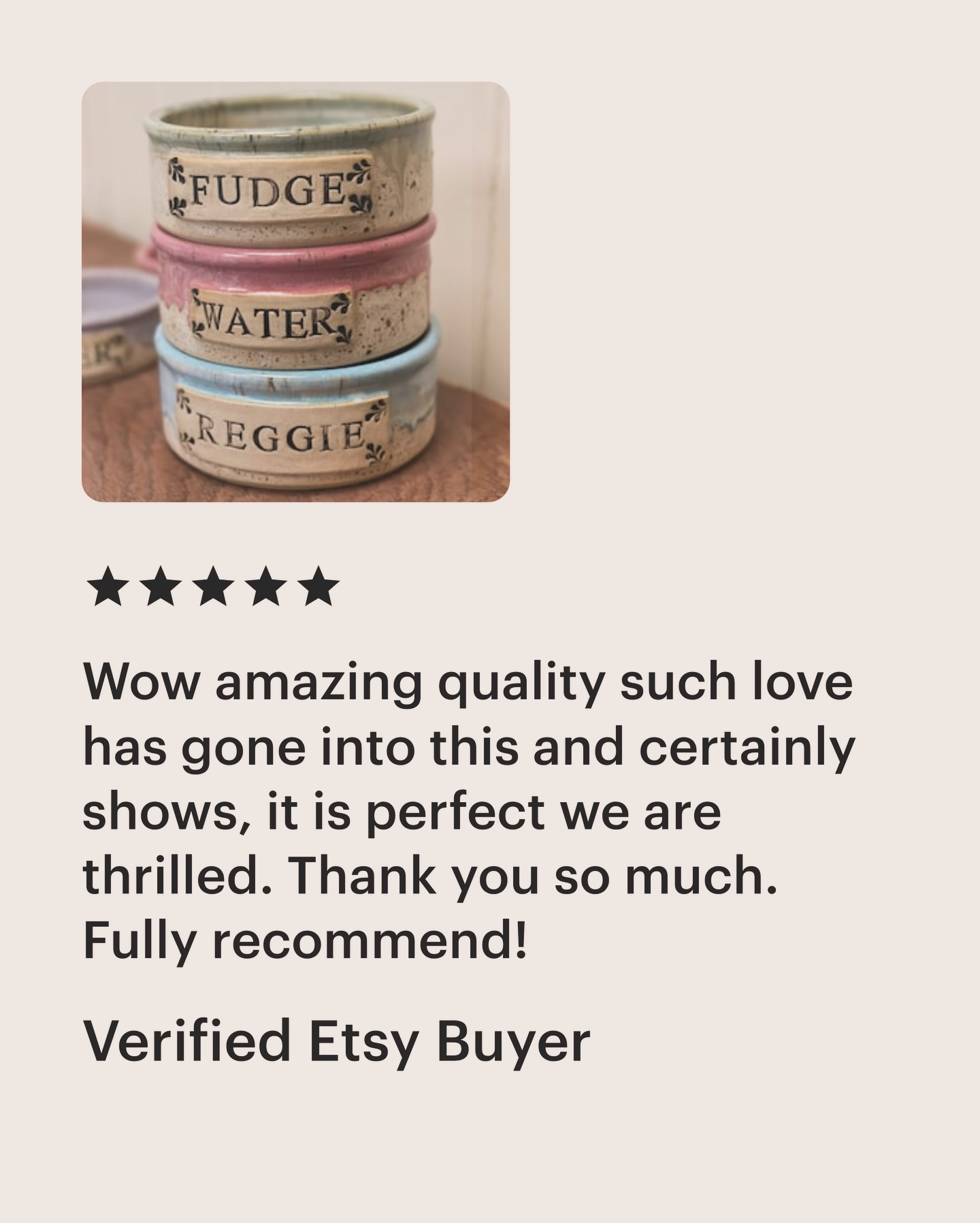 I do love a review, it gives you a warm fuzzy feeling for the day! #etsyreviews5stars #etsyseller #petbowls #parkgatepottery