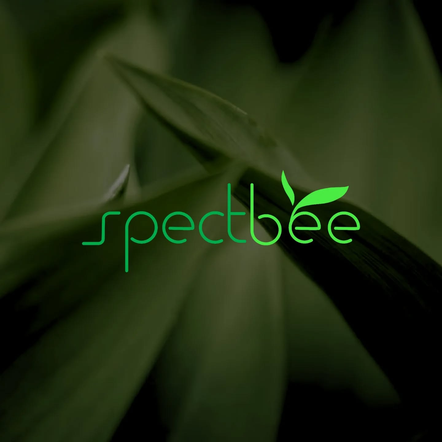 SPECTBEE, Bahar Aydınlatma'nın 2017 yılından bu yana Ar-Ge ve Tasarım süreçlerini yürüttüğü, büyüyen armatürlerine ismini veren, gelişmiş üretim olanakları ve oldukça geniş ürün yelpazesine sahip yeni markasıdır.
Modern Seralar, Doku Kültürü Tesisleri, Bilimsel Yetiştirme Ortamları, İç Mekan Yetiştirme Ortamları için yetiştirme aparatlarının tasarımını ve üretimini gerçekleştirmektedir. Gelişmiş radyometrik ve fotometrik test tesisleri sayesinde, özellikle iç mekan yetiştirme ortamlarındaki ihtiyaçlara yönelik nitelikli ve kantitatif ürünler şirket bünyesinde geliştirilmekte ve üretilmektedir. Ürünlerin tasarım, üretim ve test süreçleri, 37 yıllık şirketin Ankara'da bulunan 16.500 m2'lik modern üretim tesislerinde gerçekleştirilmektedir.
En ileri bilimsel tesislerin ihtiyaçlarına yönelik konvansiyonel sera yapıları konusunda birçok farklı tesis tasarımı ve proje mühendislik desteği, seçkin ortaklarımızla birlikte ileri tasarım ve teknoloji ve mühendislik hizmetleri sunmaktadır.
-
SPECTBEE is the new brand of Bahar Aydınlatma, which has been managing its R&D and design processes since 2017. The brand is named after its growing fixtures and features advanced production capabilities and an extensive product range.
SPECTBEE designs and manufactures growing fixtures for Modern Greenhouses, Tissue Culture Facilities, Scientific Cultivation Environments, and Indoor Growing Environments. Thanks to its advanced radiometric and photometric testing facilities, the company develops and manufactures qualified and quantitative products tailored to the needs of indoor growing environments. The design, production, and testing processes of these products are carried out at the company’s modern 16,500 m² production facility located in Ankara, a part of the 37-year-old company.
Along with its distinguished partners, the company provides advanced design, technology, and engineering services, offering various project engineering support and designs for conventional greenhouse structures to meet the needs of the most advanced scientific facilities.