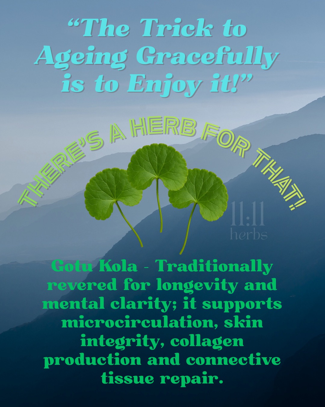 One of my absolute favourite herbs and the key player in my "Elixir of Youth"... Gotu Kola or Hydrocotyle asiatica, until recently, it was also known as Centella asiatica.
Traditionally revered for longevity, clarity, and graceful ageing.
Gotu Kola has been used for centuries in Ayurvedic, Chinese, and Southeast Asian herbal traditions as a deep rejuvenative. Rather than acting as a stimulant, it works gradually to restore and nourish the systems most associated with ageing and resilience.
Key actions and benefits
Microcirculation support
Enhances blood flow to the brain, skin, and connective tissue, helping deliver oxygen and nutrients where they are most needed over time.
Cognitive clarity and mental stamina
Traditionally used to support memory, concentration, and calm focus, especially during mental fatigue or prolonged stress.
Skin and connective tissue integrity
Well known for supporting collagen production, tissue repair, and overall skin health; historically used in wound healing and for maintaining elasticity.
Nervous system nourishment
Acts as a gentle nervine, supporting emotional balance and nervous system resilience without being sedating or stimulating.
Longevity and rejuvenation traditions
Classified in Ayurveda as a rasayana—a category of herbs associated with healthy ageing, vitality, and long-term restoration.
Energetics
Cooling, mildly bitter, and grounding. Gotu Kola is best suited to long-term, consistent use rather than short-term, high-dose approaches.
Common traditional uses:
Brain fog and mental overload
Stress-related depletion
Premature skin ageing
Poor peripheral or cerebral circulation
#gotukola #centella #centellaasiatica #elixirofyouth #hydrocotyleasiatica