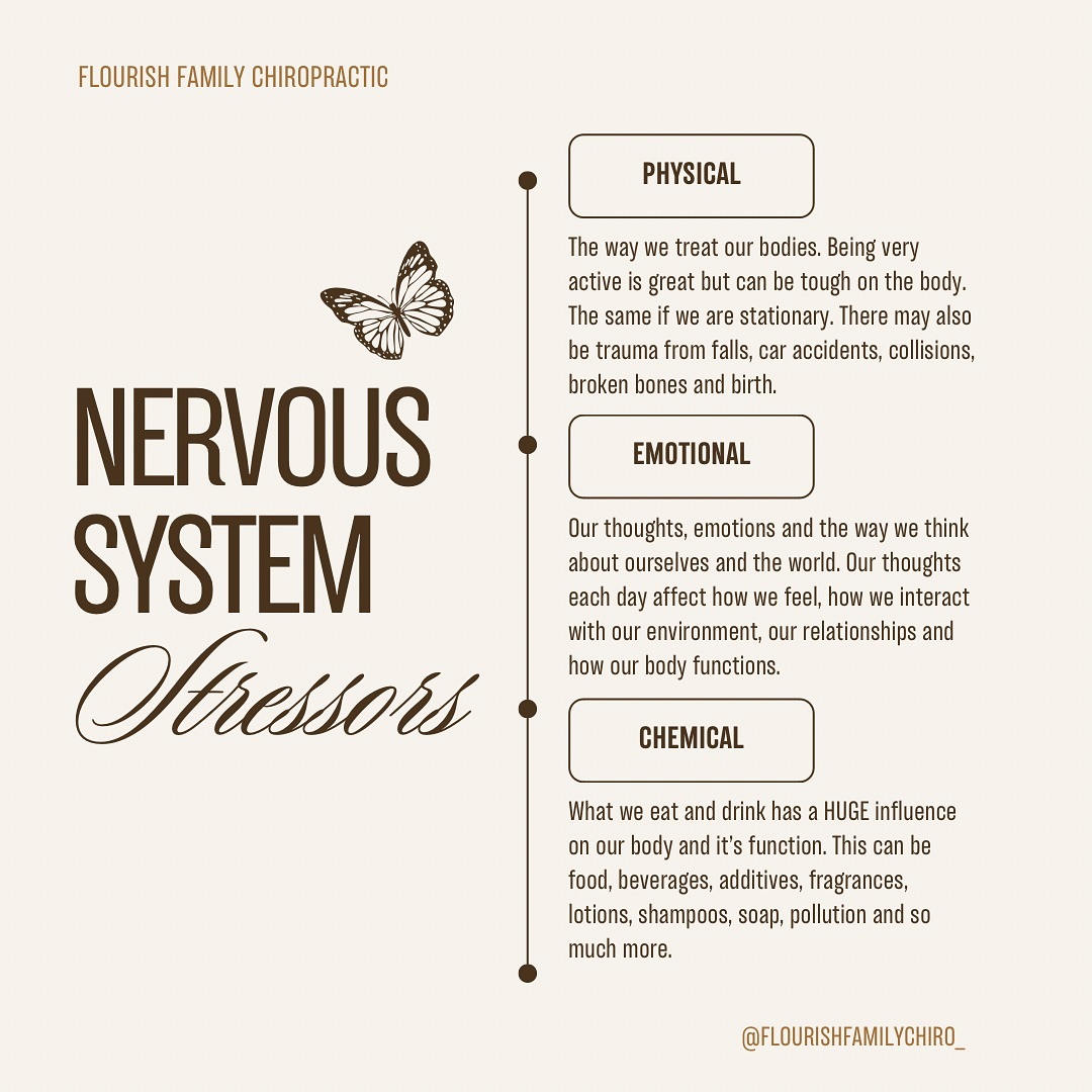 What nervous system stressors are you exposed to each day? ✨
There are SO many things that can tax our nervous system 👉🏼
▫️Physical - this is the way we treat our bodies. Being very active is great but can be tough on the body. The same if we are stationary. There may also be trauma from falls, car accidents, collisions, broken bones and birth.
▫️Emotional - this includes our thoughts, emotions and the way we think about ourselves and the world. Our thoughts each day affect how we feel, how we interact with our environment, our relationships and how our body functions.
▫️Chemical - what we eat and drink has a HUGE influence on our body and it’s function. This can be food, beverages, additives, fragrances, lotions, shampoos, soap, pollution and so much more.
The adaptability of your nervous system determines how we are able to handle these each day.
Thankfully one way we can improve our adaptability is through chiropractic care! With regular adjustments, our system is able to handle so much more than we think it can ✨
#nervoussystemhealth #chiropractic #bayareachiropractor #pediatricchiropractor #sancarlosca #belmontca #belmontlocalbusiness #redwoodcityca #redwoodcity