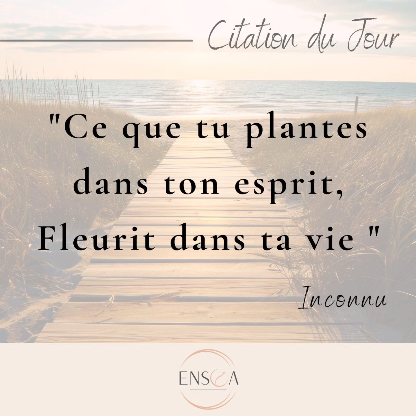 ✨ citation#8 ✨
#villepreux #coaching #sophrologie #Vivresesreves #action #bonheur #penseespositives #penseedujour #penseedusoir #decision #confianceensoi #changement #patience #momentpresent #changementdevie #developpementpersonnel #formation #bienveillance #bienetre #prendresoindesoi #citation