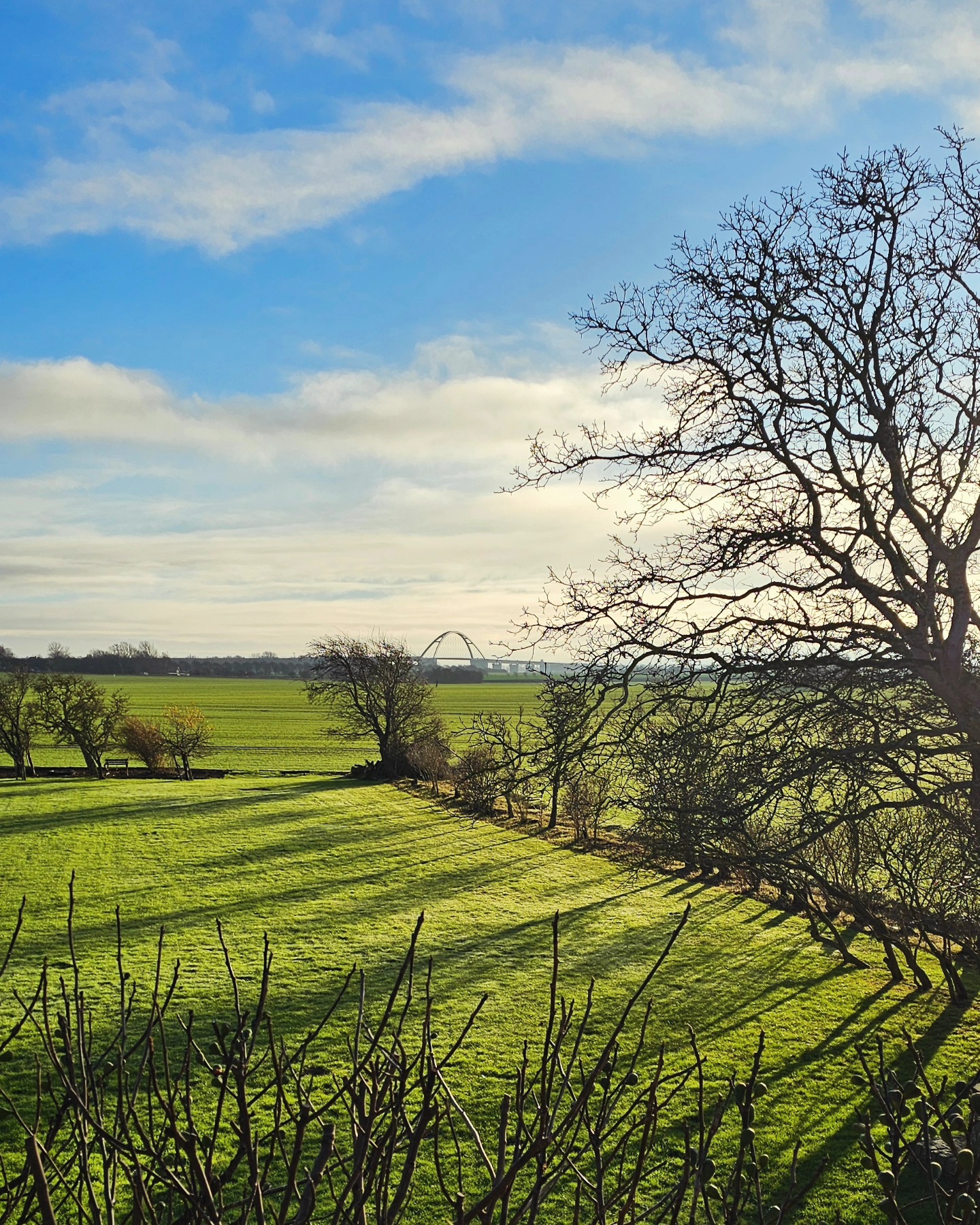 Weihnachtssonne 🌞
Christmas sunshine 🌞
#hausimfelde
#Fehmarn
#Albertsdorf
#ferienwohnungen
#ferienappartements
#urlaubammeer
#weihnachtssonne
#ostsee
#Holidayappartements
#christmasvacation
#holidayattheocean
#balticsea