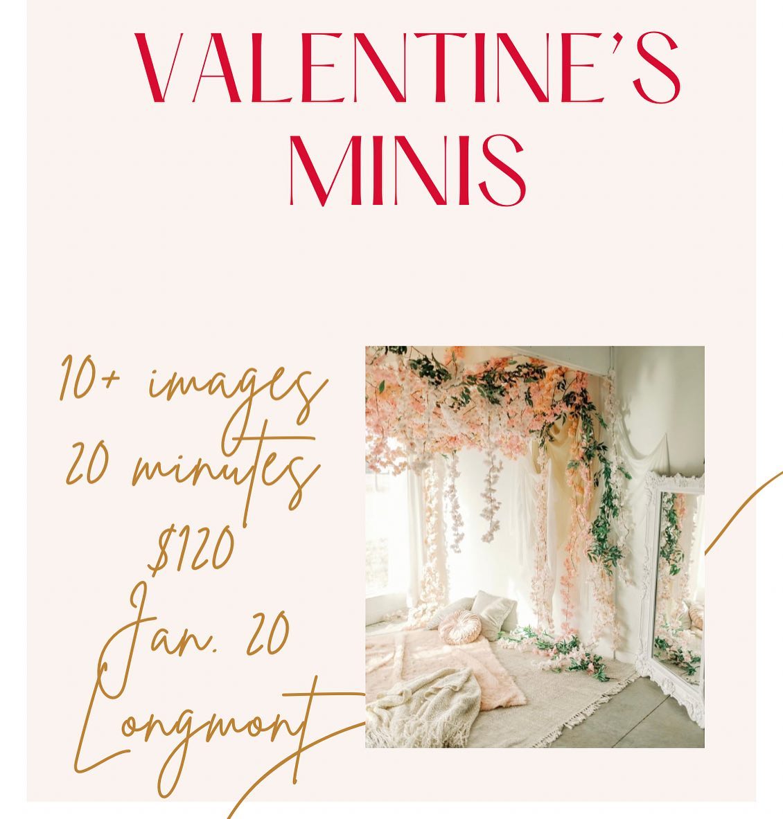 Email me to sign up! #valentinesmini #valentinephotography #longmont