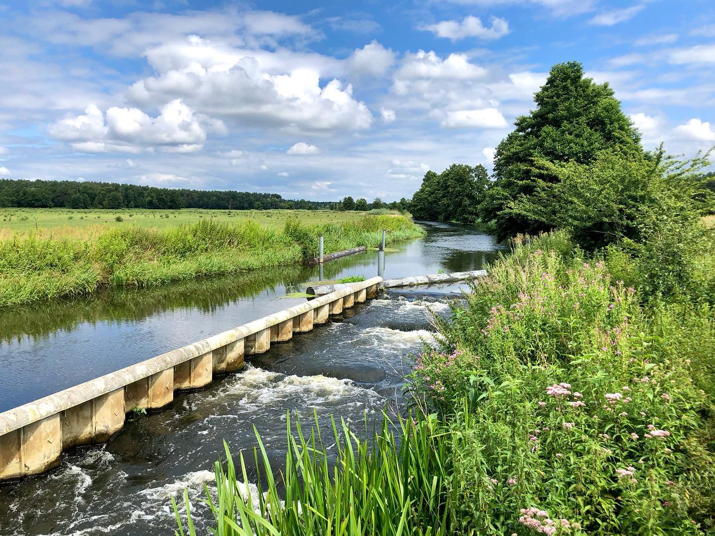 Home sweet home… die Stepenitz in der schönen Prignitz! 😍😍
.
.
#brandenburgistschön #ohwieschönistbrandenburg #prignitz #prignitzliebe #prignitzfotografie #naturfotografie #tolleswetter #blueskywithclouds☁️💙 #happylittleclouds #stepenitz #wehranlage #kleinerwasserfall #kaskade #beautifulscenery #landschaftsfotografie #naturfotografie #saftigewiesen #grünsoweitdasaugereicht #beautifulriver #landscape_lovers #beautifullandscape #idylle #flussidylle #esgrüntundblüht #blühendesufer #visitbrandenburg #greengreengrass