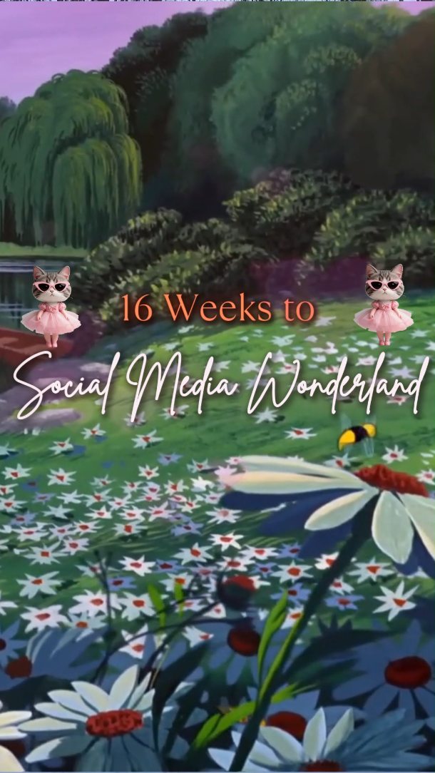 If you are a small business owner that doesn't want to or can't hire a social media manager then this is for you.
It's not a course nor a seminar, but rather a 16 weeks journey on which you and me will learn all the skills you need to market your business on social media.
Each week we will have 1-on-1 consultations, on which we will learn how to do ads, step by step, create content, you will get your theoretical knowledge written in custom made e-books made just for you (not by AI). It's a program I am truly proud of, and think of it as a complete and ideal solution for small business owners with big dreams that still cannot afford their own social media people. Please, if you are interested, send me a DM and we can talk :) 🩷
