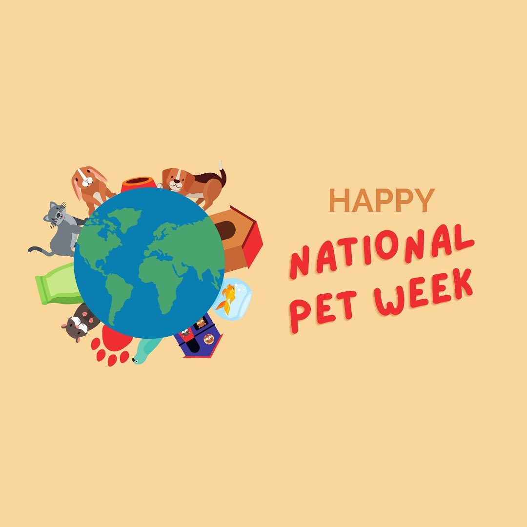 Happy #NationalPetWeek! ❤️🐾