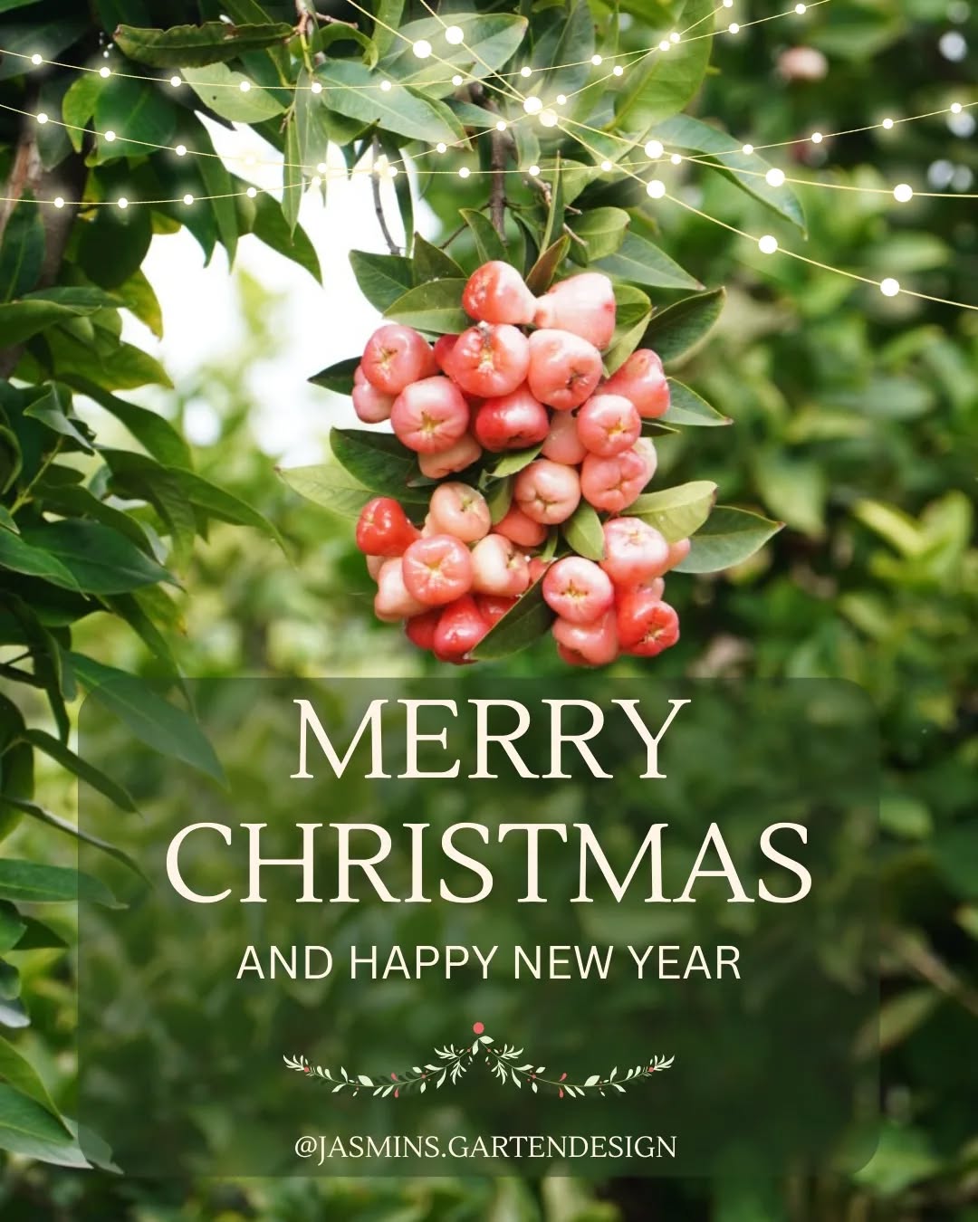 MERRY CHRISTMAS 💫 Ich wünsche euch schöne Weihnachten, erholsame Feiertage und einen guten Rutsch! 🌲 Bleibt gesund und genießt die Zeit mit euren Liebsten!
*Im neuen Jahr geht es hier wieder aktiv weiter
.
.
.
.
.
.
.
.
.
#froheweihnachten #merrychristmas #Landschaftsarchitektur #landscapedesign #landschaftsfotografie #naturfotografie #pflanzenfotografie #Gartengestaltung #garteninspo #gartenkonzepte #gartenblog #pflanzideen