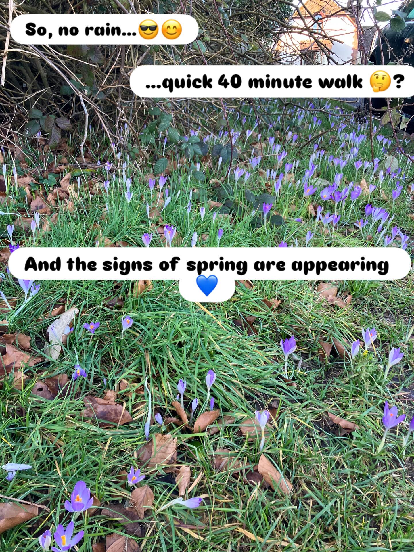 Rain can stop you from getting outside. But when there’s a break… why not make the most of it, even if only for half an hour? We’re lucky to have some easy walks on our doorstep- with no mud in some cases! Check out the maps and routes on our website. #sunshine #blueskies #river #crocuses #riverwey