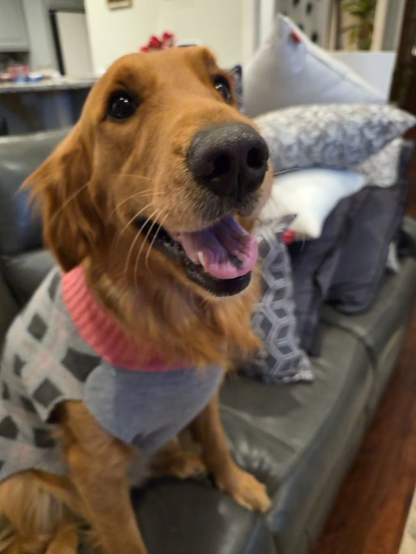 Luna is in her cute mood today 😍