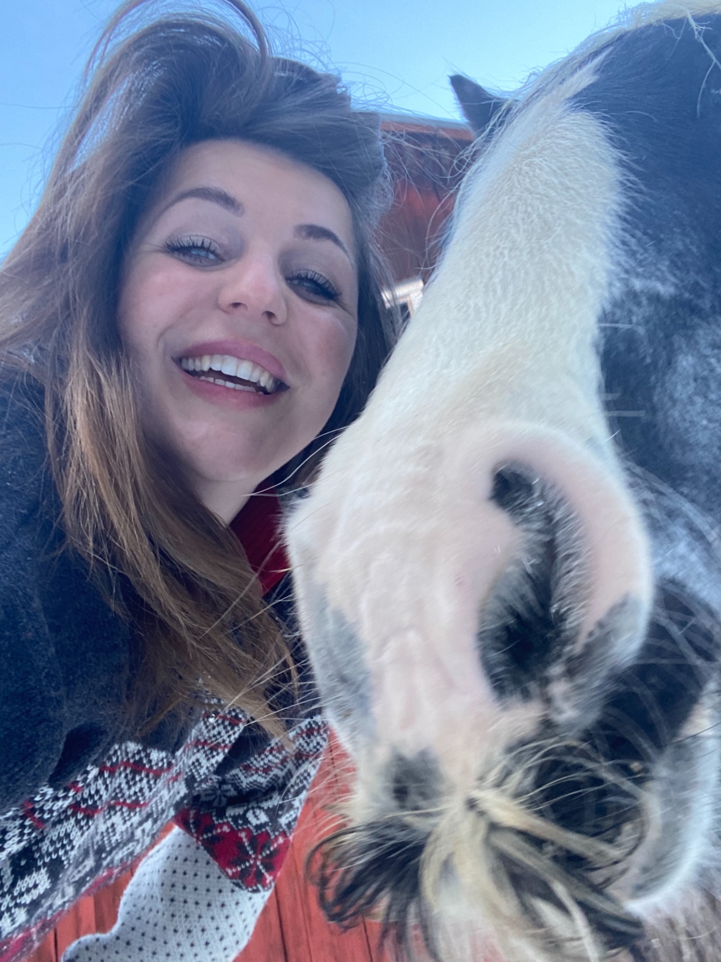 Winter kisses from Sweden 🇸🇪✨❄️