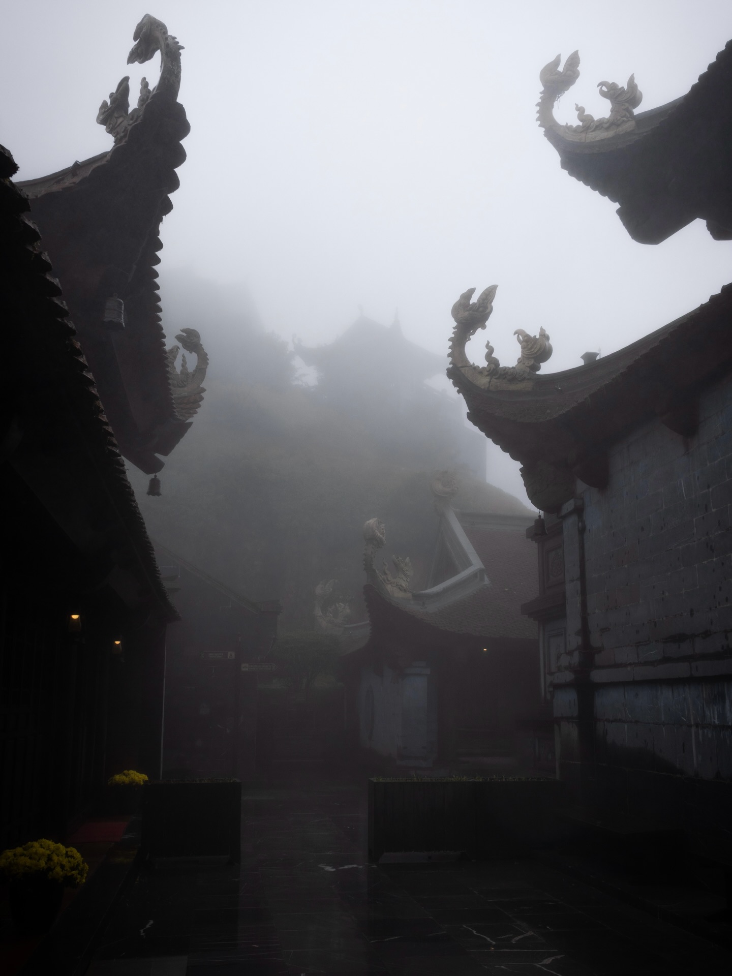 Some people say that Sa Pa made them feel like they’re in the movie Spirited Away. I haven’t seen the movie, but I can confirm it gets foggy. 🌫️
Sa Pa is a mountainous region in the north of Vietnam, home to the highest peak of Indochina (proudly 3,143m & a beautiful Buddhist temple at the top) but also famous for its golden rice fields and its diverse ethnic groups like the H’mong and Red Dao.
Check the last slide to see what trekking in Sapa really looks like 😬
#sapa #vietnam #beautifulbuddhistemples #fogphotographer #trekkinginsapa