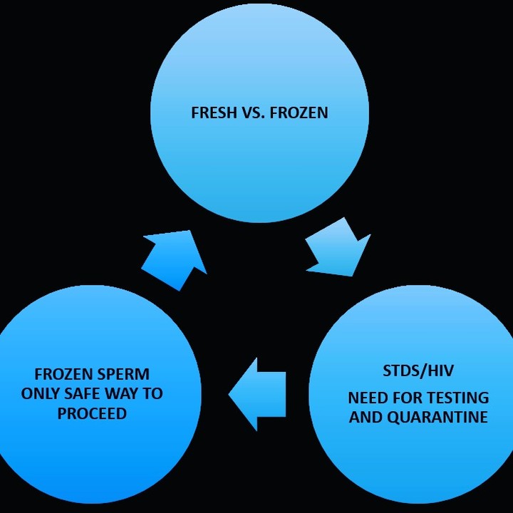 In the beginning the majority of sperm being used was fresh. People thought it was "better" than frozen, but they didn't understand the need to test the donor and then quarantine and then retest. This slowed the acceptance of frozen over fresh sperm. The important thing to remember is that FRESH is not better in quality than FROZEN and frozen is the safest way to go.
#quarantinesperm #dontbuyoffcraigslist
#besafeouthere