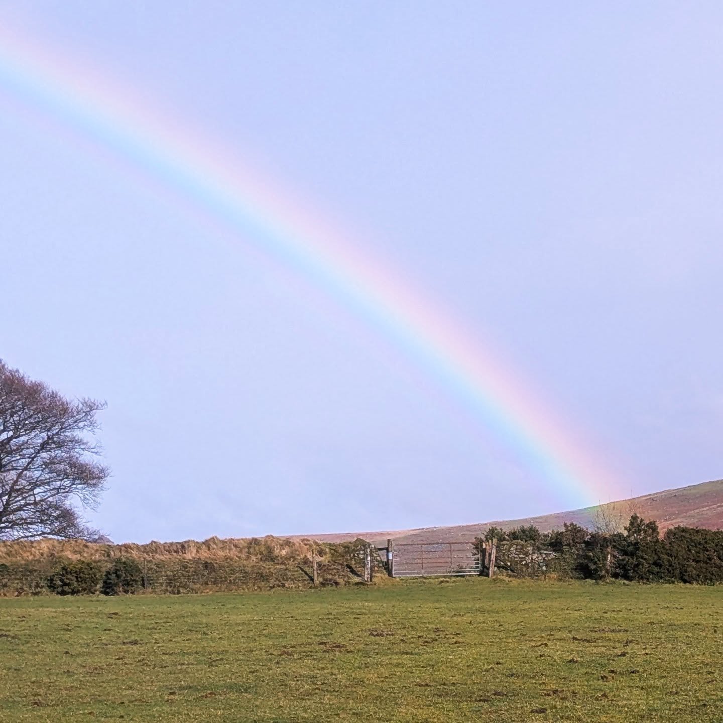 "Rainbows exist because storms do" I know we are all a bit fed up with this rain at the moment but look at this beautiful rainbow 🌈
.
.
.
#rainbow #dartmoornationalpark #holidaycottagesuk #countrylife