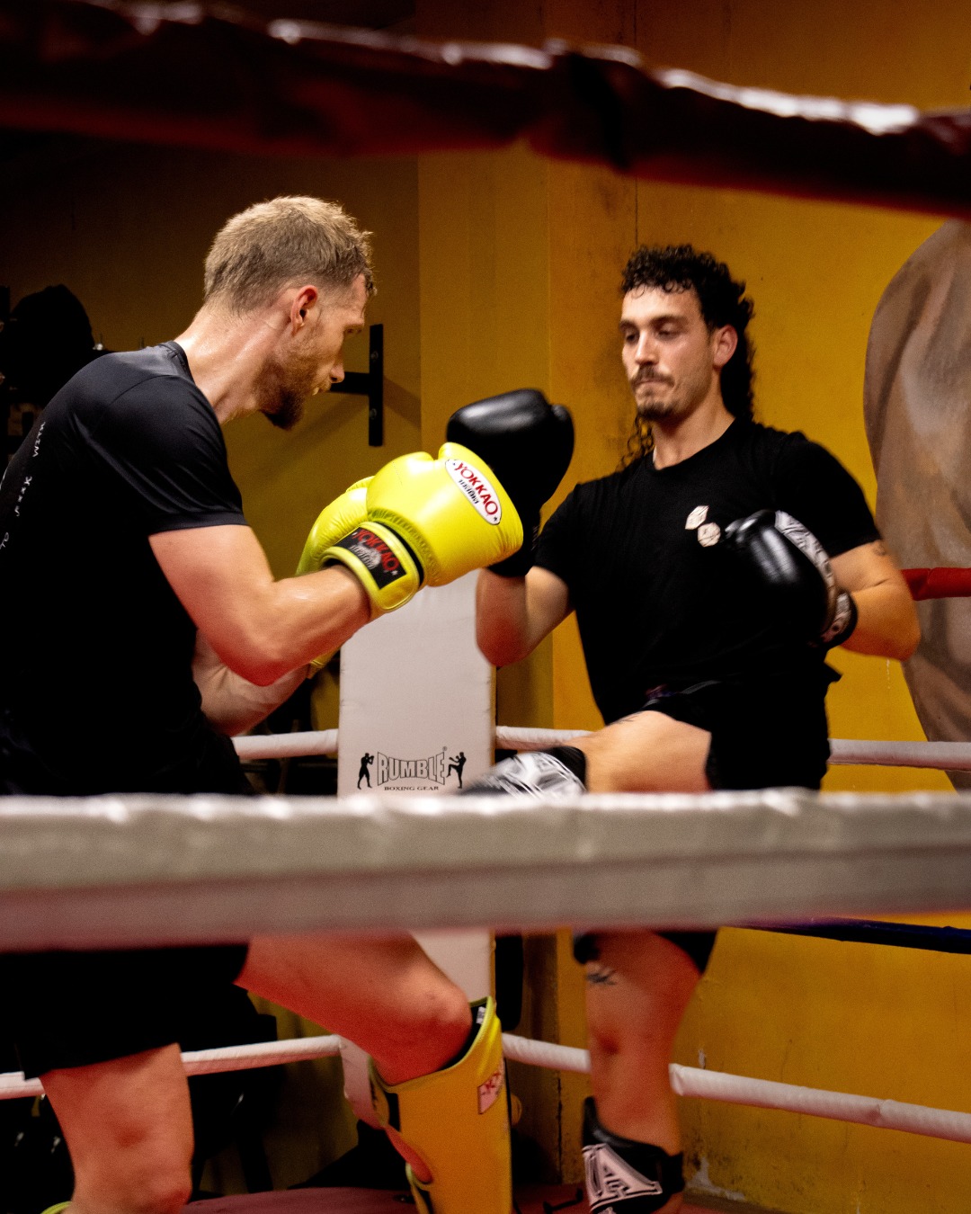 Voor iedereen vanaf 16 jaar bieden we elke dag van 19:00 tot 20:00 kickbokslessen aan! 💥 Daarnaast kun je ook 3 middagen per week terecht voor trainingen.
Voor de jeugd hebben we aparte lesmomenten op andere tijden.
