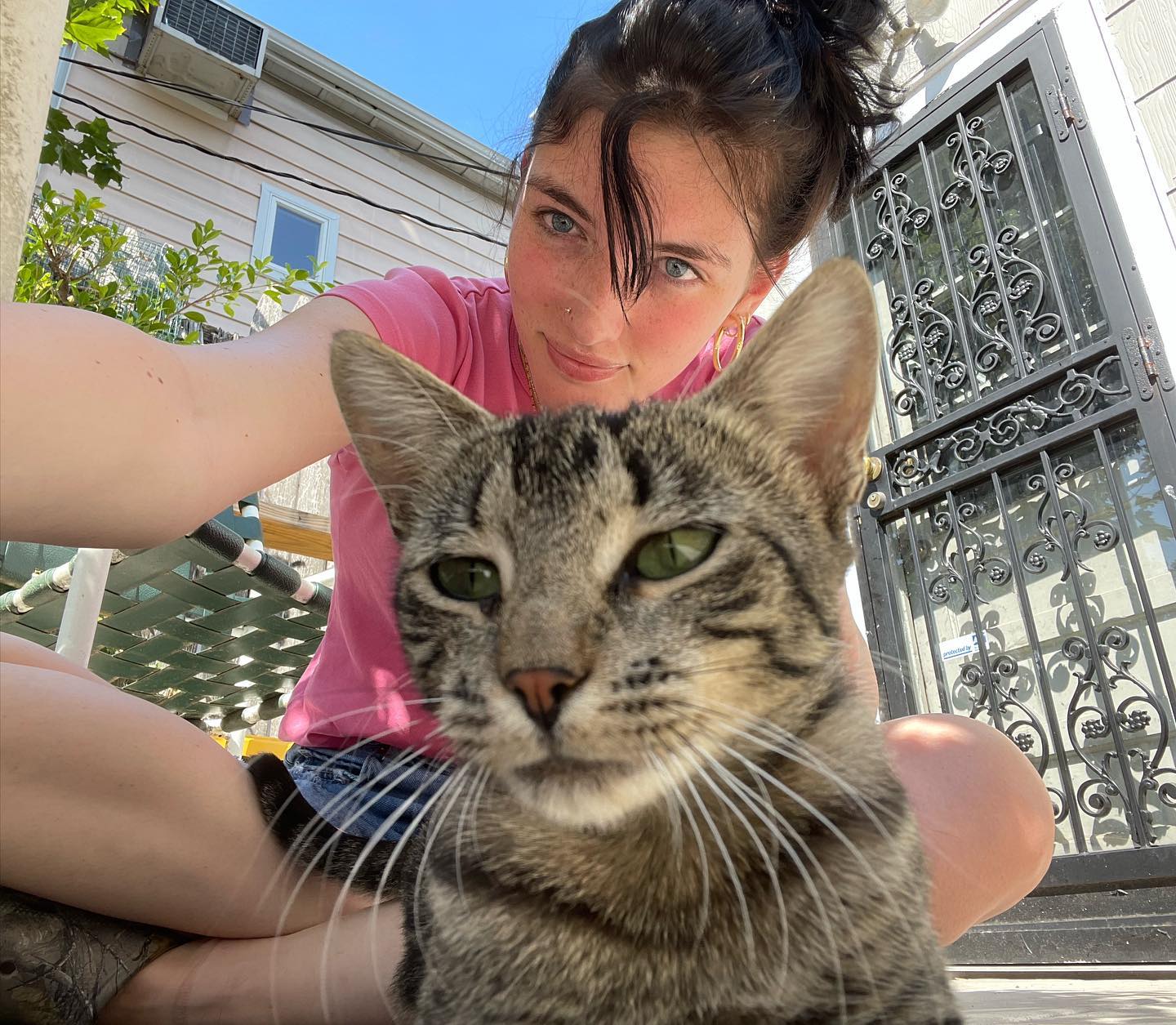 Macky! She got TNR’d then adopted thanks to @catcafebk