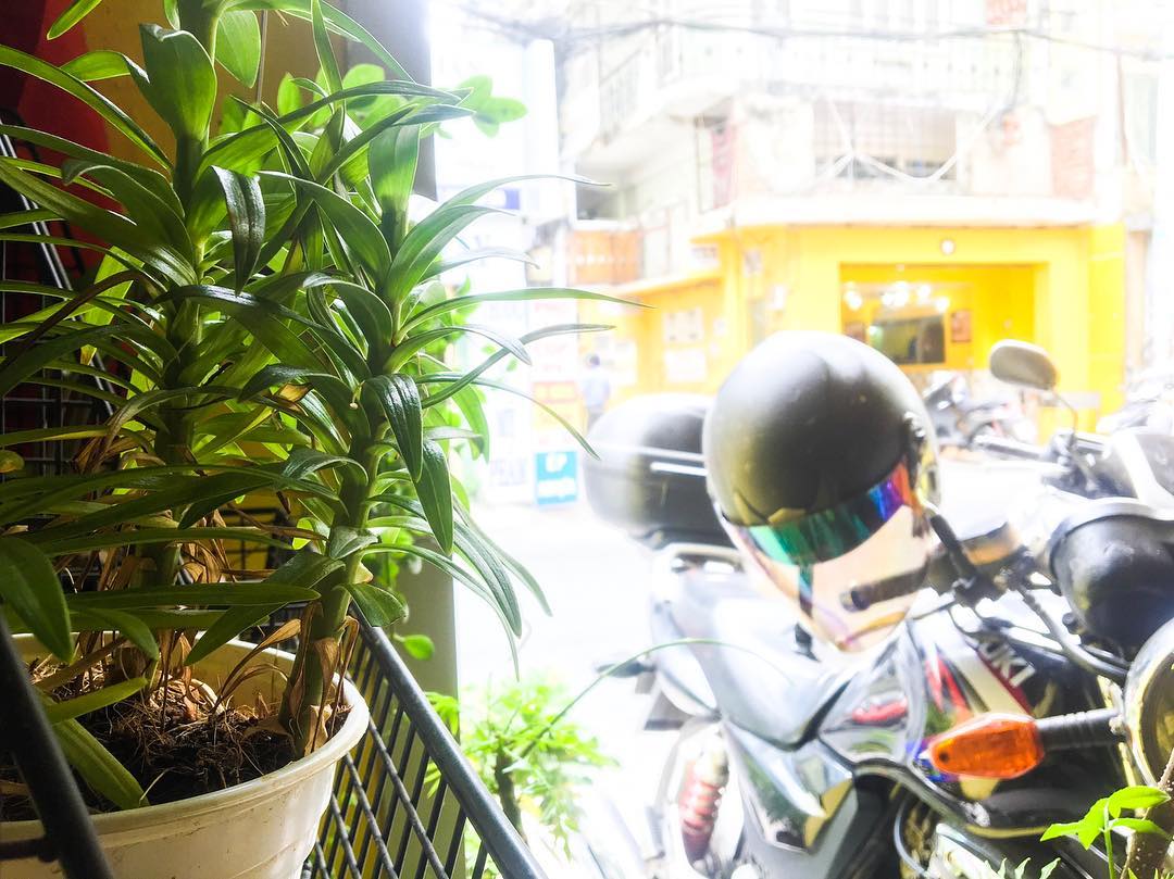 Sunday morning~ 🌿🌤🌱
*
*
#airbnb #getaway #booking #travels #wanderlust #homedesign #hcmc #vietnam #saigon #airport #citylife #hochiminh #design #comfortable #cozy #studio #modern #inspiration #coffee #color #painting #pinterest #miligam #miligamhome