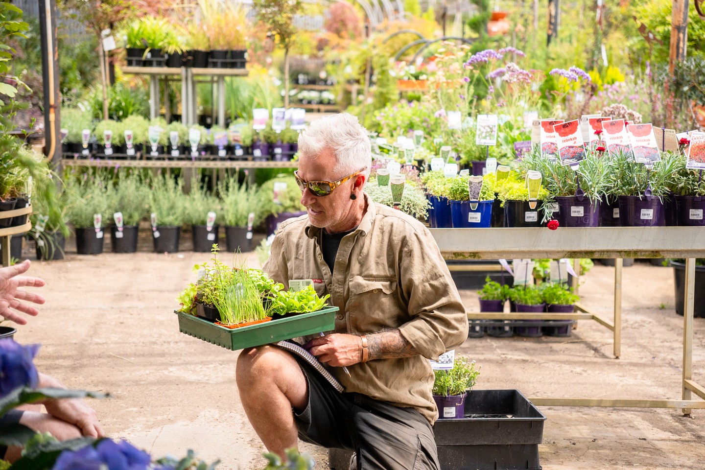 Summer might still be in full swing, but now’s the time to think ahead.
February is ideal for planting cool-season seedlings (think leafy greens, herbs, and early brassicas) so they’re ready to thrive as the weather turns.
.
.
.
.
.
.
.
#macedonnursery #macedongardensupplies #macedonrangesgardens #macedon #macedonranges #autumnplanting #seedlings #veggiegarden #herbgarden #gardeningaustralia #localgardencentre