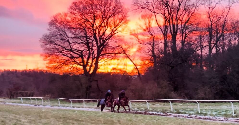 ❤️Red sky in the morning❤️….#welldoneteam #survivingthefreeze #herefordshire #teamsymonds #nationalhuntracing #redskyinthemorning #notabadoffice #redmillshorsefeeds #gundoggin