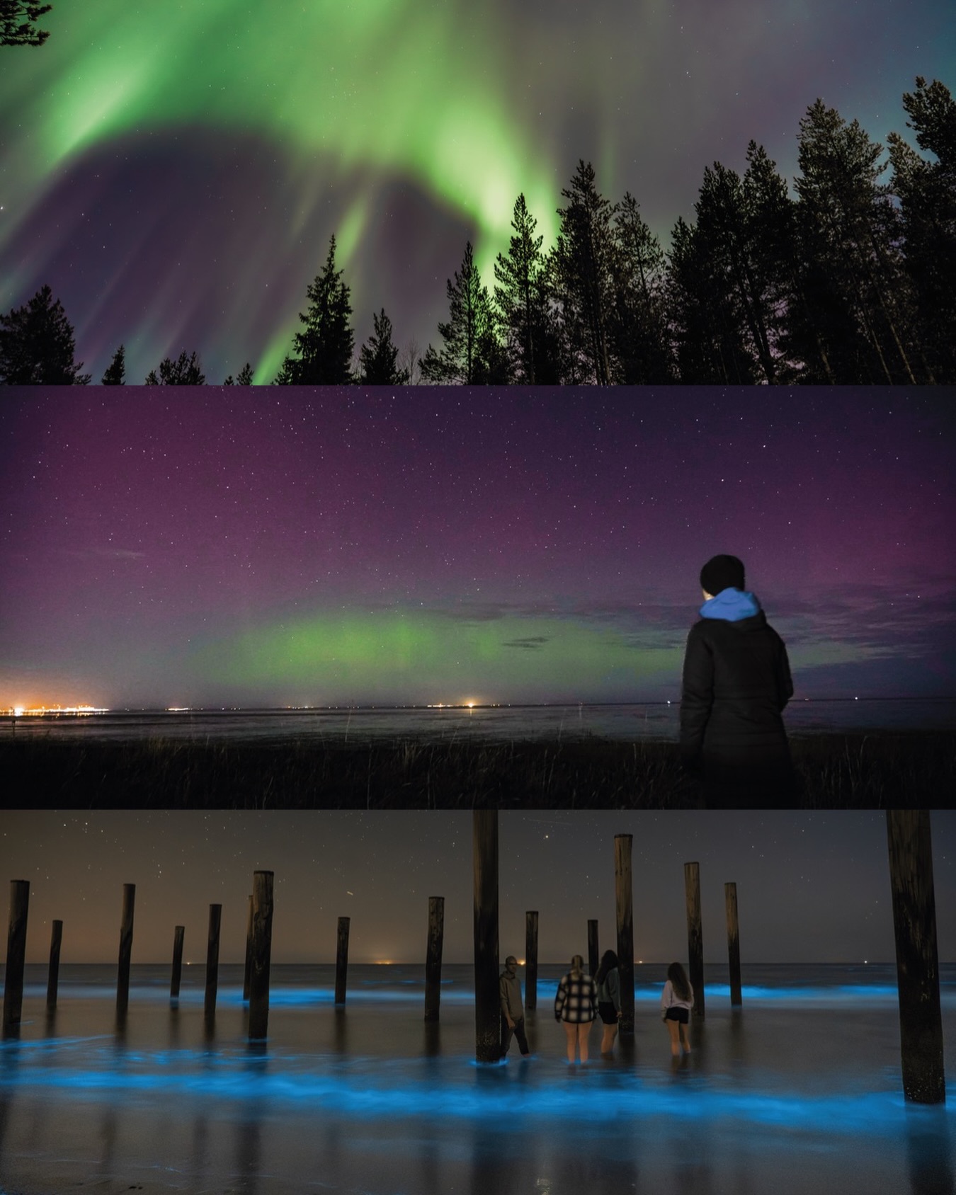 Welk licht vinden jullie het mooist? 💚🩵🩷
#mellomedia #fotografie #northernlight #zeevonk