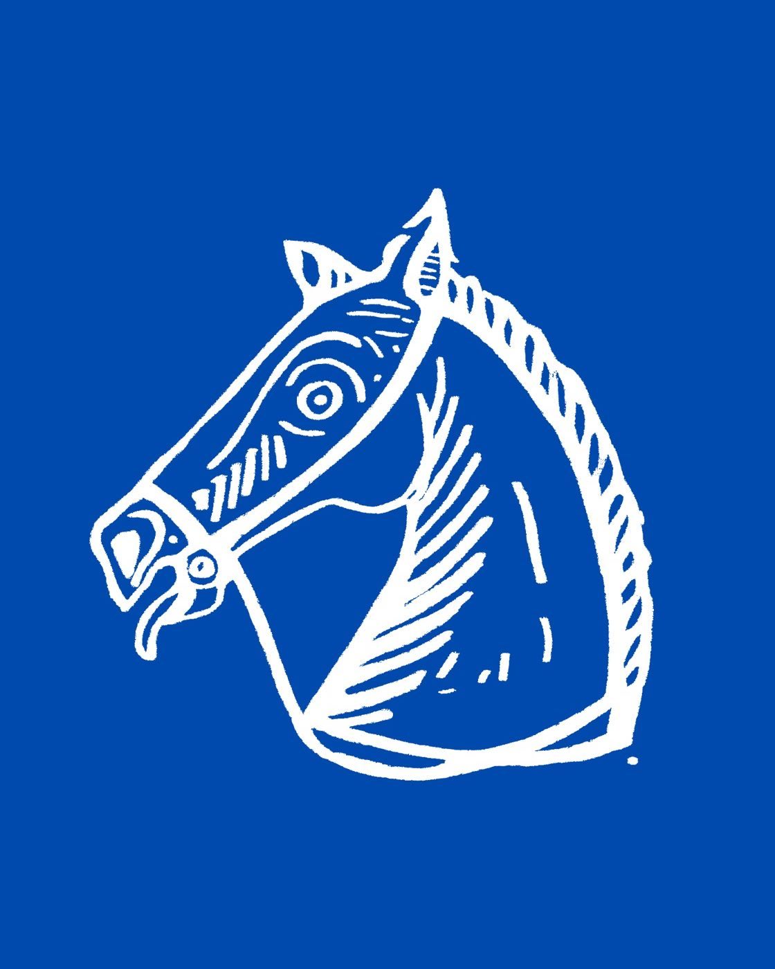 Tomorrow!!!!! Music starts from midday in the Hexham Sele Grounds! Check out our website (link in bio) for more information and times. Bring a picnic, a couple of camping chairs and your best pair of dancing shoes!!