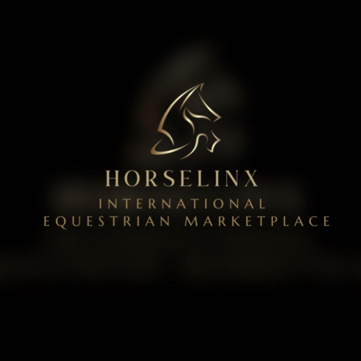 WE ARE BACK!!!!
An all new website is coming soon and it’s going to be better than ever!
#horselinx #equine #horses #horsesofinstagram #equineofinstagram #allnew #marketplace #new #exciting #equinelife #saddlelife #inthesaddle #countdown #website