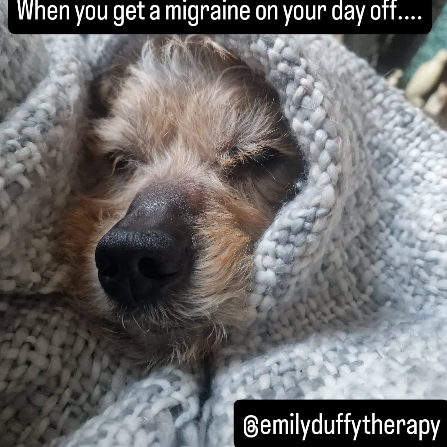 Urgh, this is chronic illness 🫠
I have had a big week this week. And I managed it and made it through. I was so ready to do some work on my CPD course, I'm really enjoying writing it, and then boom! Life.
Had some really amazing news + the ceiling starts dripping overnight + a bad nights sleep = no work, rest, and a migraine flare 🙄
It's so typical isn't it?! And yes, there are definitely worse things (I mean, look at the world right now, I am very aware how privileged I am), but it is still so frustrating to have to change plans due to chronic health flares.
I am still so glad it's hit today when I have no client work and it's just my own deadlines that are being impacted. It has had no real life impact anywhere but on my body. But damn. Life!
I am taking my dogs lead today; nap, eat, maybe play some games if I can tolerate it, and then probably nap some more 🐶
Today has felt like a day of " I can't"..... but.... I can look after myself.
How're you all holding up? 💚
#therapy
#spoonie
#migraine
#emilyduffytherapy
#dogsofinstagram