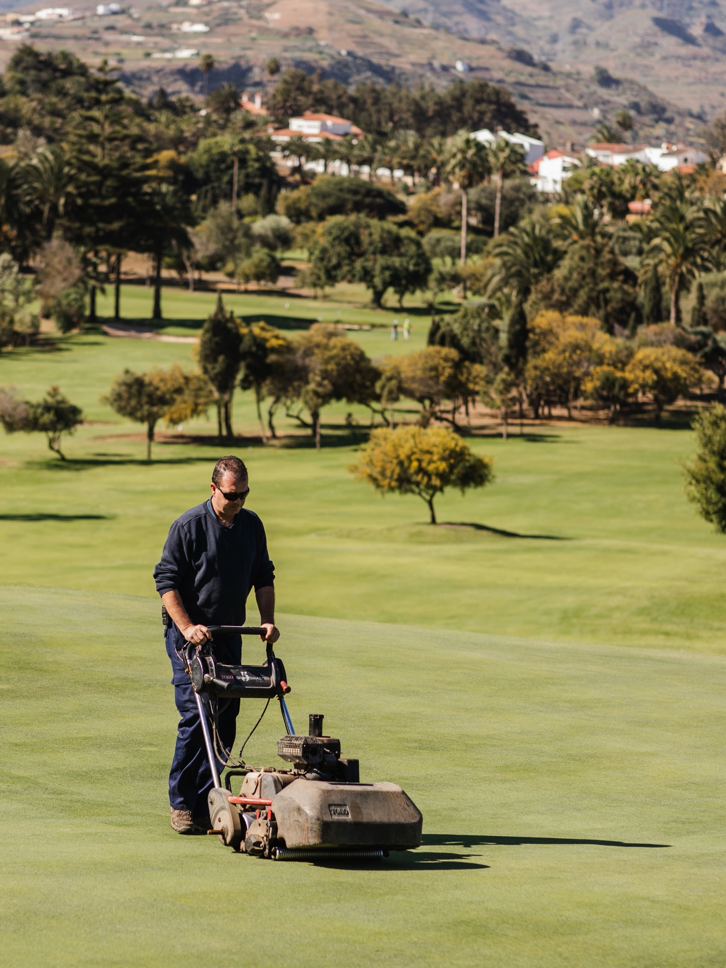 Un campo que se cuida con manos expertas, constancia y mucho respeto por el entorno 💚✨
A field that is tended with expert hands, perseverance and great respect for the environment 💚✨
#POEMSuites #GranCanaria #Gracias