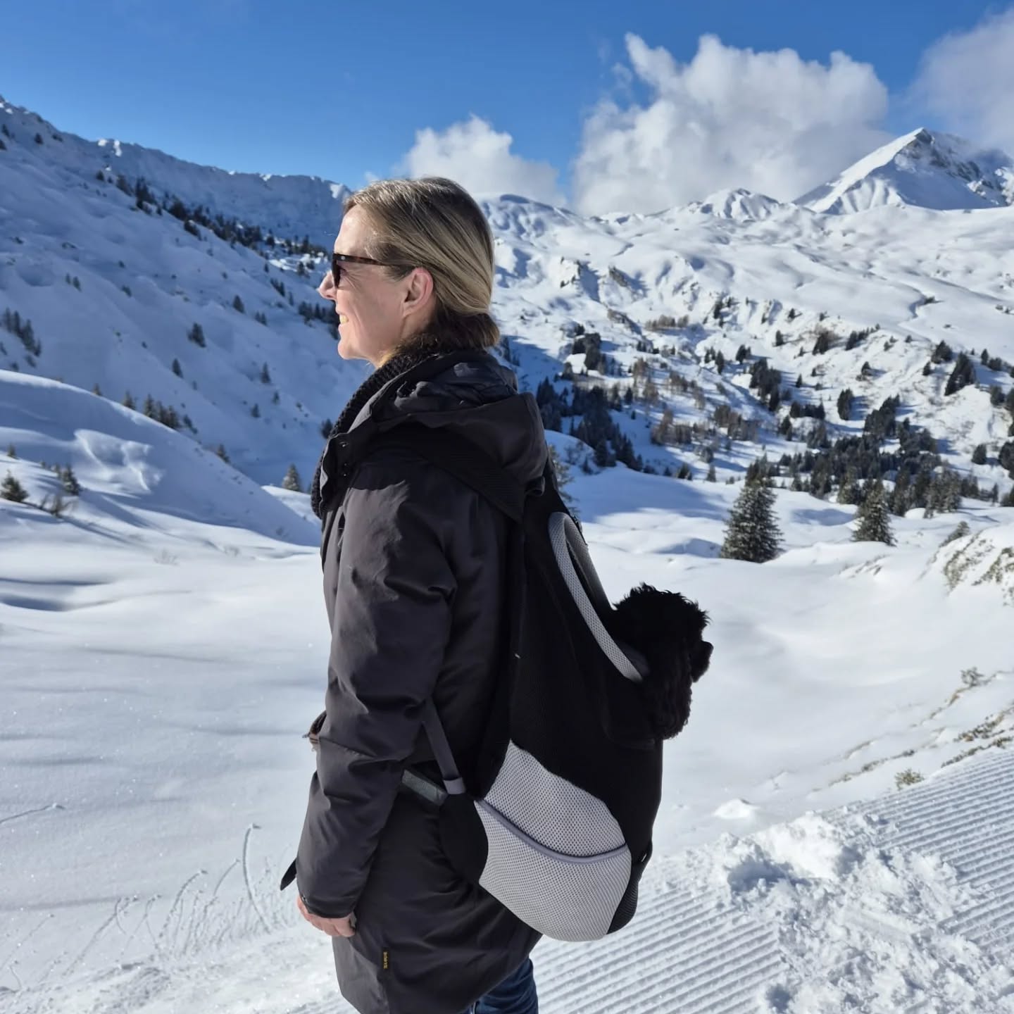 Vorteil eines kleinen Hundes: man kann ihn auch noch mit über 15 Jahren auf Scheewanderungen mitnehmen 😄
#winterwalks❄️ #americancocker #doginsnow #doginabackpack #betelberg