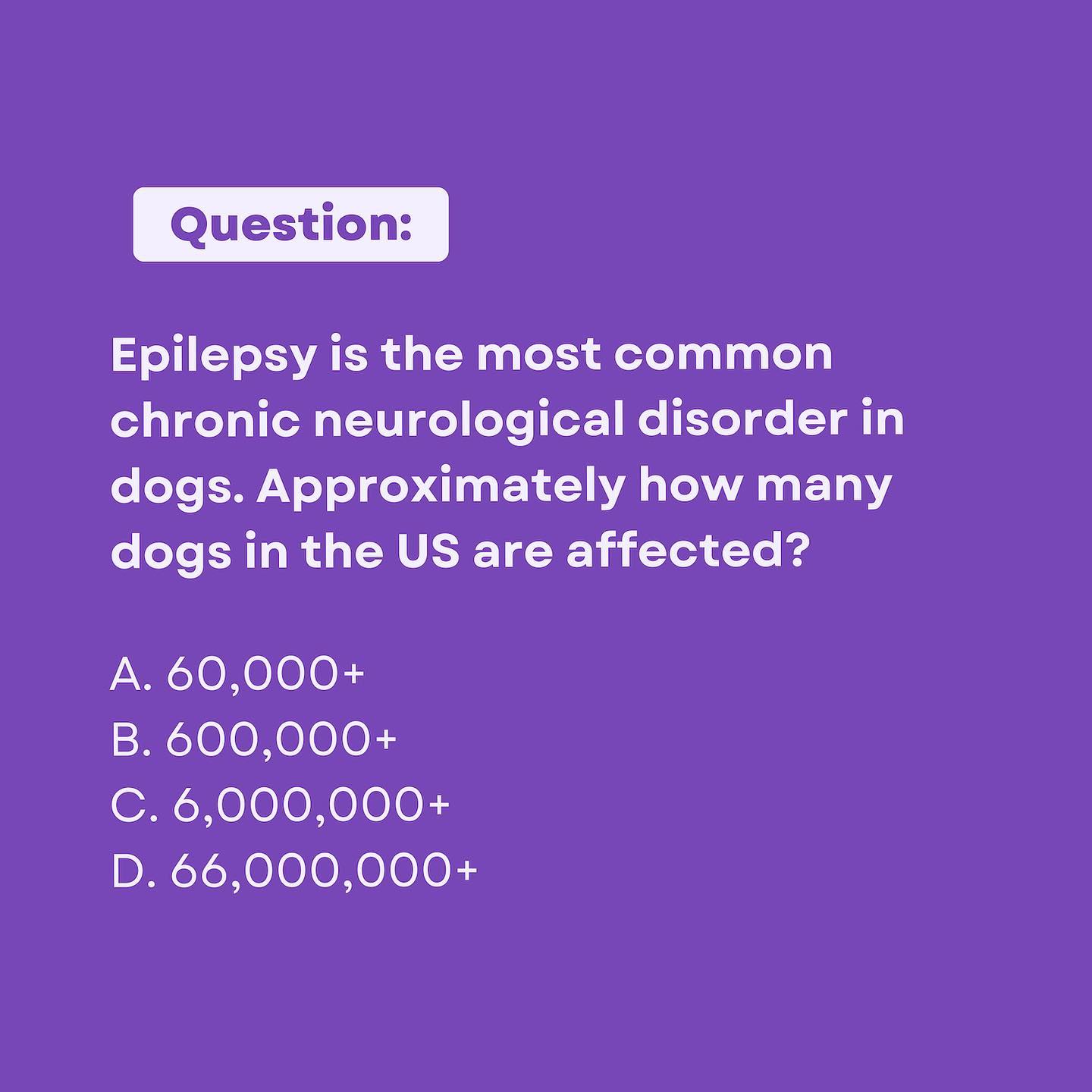 Epilepsy is the most common chronic neurological disorder in dogs. Approximately how many dogs in the US are affected?
The answer is B! ✓
Epilepsy affects nearly 1% of dogs in the general population (an estimated prevalence rate of 0.62-0.82%). This translates to over 600,000 dogs in the United States alone (based on 2020 AVMA
estimates of 83.7 million dogs in the USA).
Register for VetVine's Canine Epilepsy Summit 🔗 https://bit.ly/PurpleDay23 and save with code MBPurple23. Veterinarians and veterinary technicians save $23. Non-veterinarians save $10. Valid through 3/31. #PurpleDay