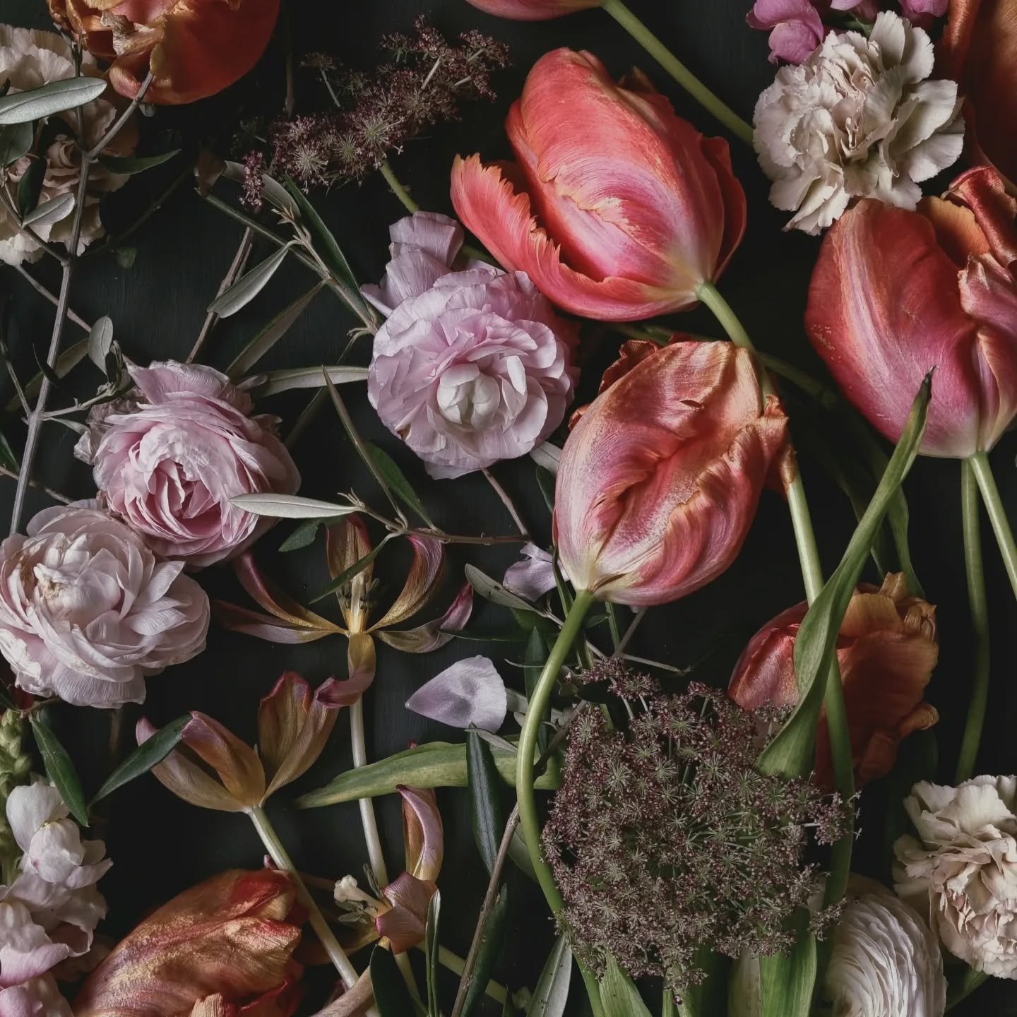 Tulppaaneja tulppaaneja ❤️❤️❤️
#photography #tulipa #flowerlover