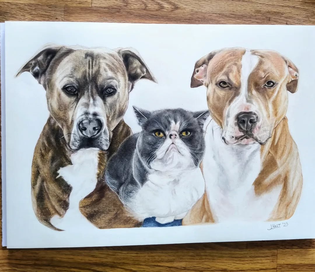 A commission last year I had from a special friend.......I felt truly privileged to draw these beautiful pets .....it took me a while, but I got there in the end!
#pet #petportrait #petstagram #fineart #finearts #portraits #photorealisticdrawing