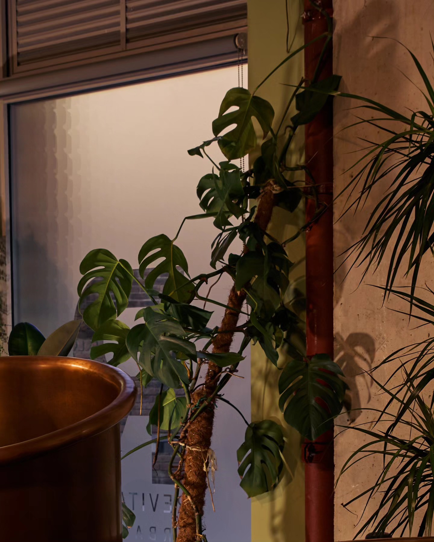 Copper Magic
Why copper? Itâs naturally antimicrobial, super durable, and regulates water temperature beautifully.
Plus⌠it looks gorgeous, doesnât it?
Youâre not just plunging â youâre immersing in a ritual.
#copperbath #luxurywellness #spavibes
#coppericebath #recoveryrituals #spalife #icebath #getyourcoldon #wimhoff #coldwaterimmersion #taketheplunge #contrasttherapy #biohacking #wellnessjourney #recovery #selfcare #relaxation #health #mindfulness #spalife #hackneyspa #revitaliseurbanspa