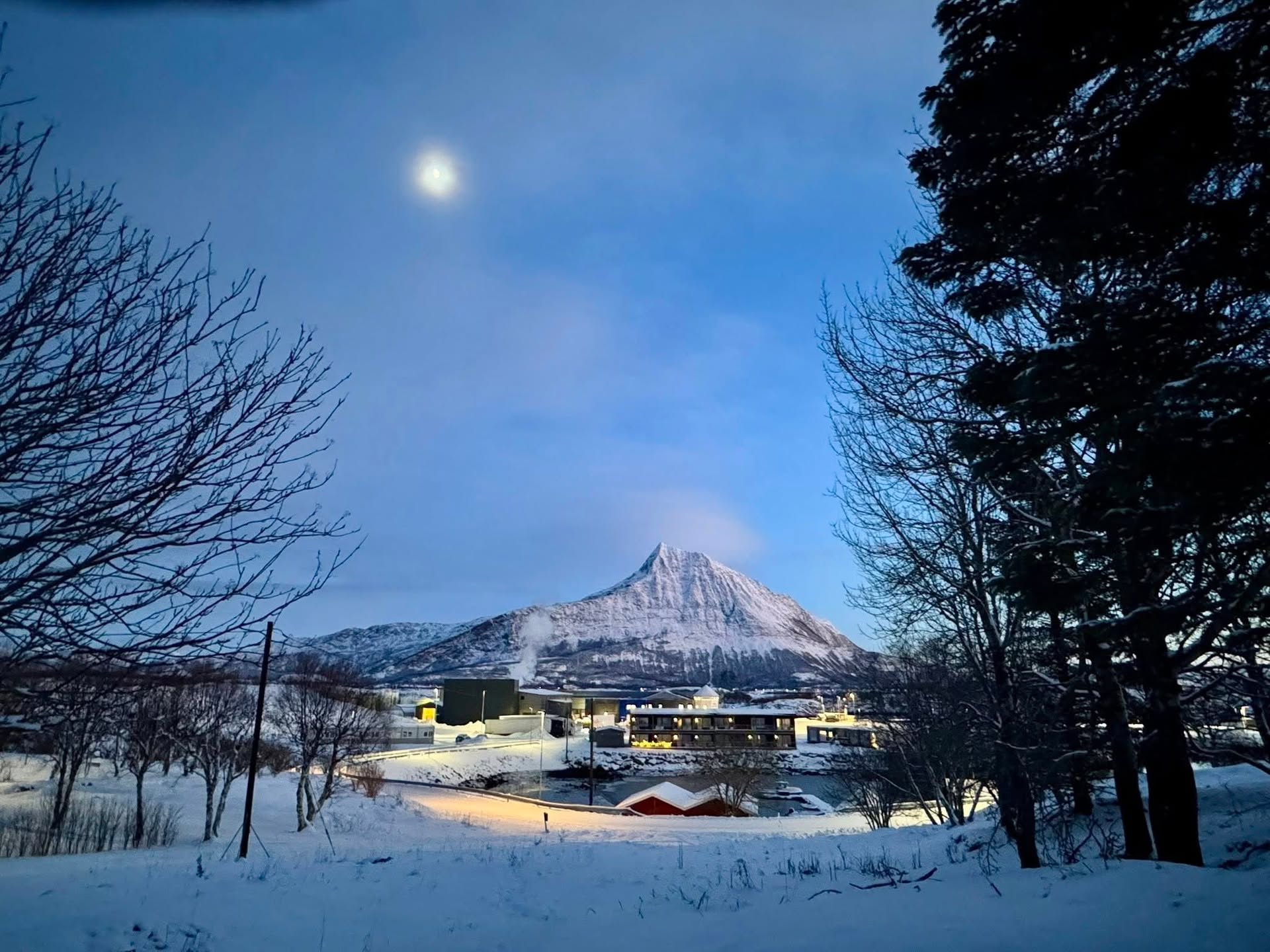 📷 Tamás Makovics @tamasmakovics