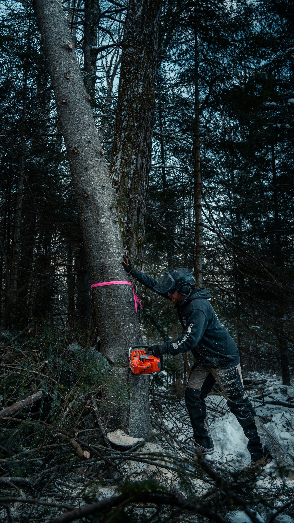 Is that enough experience for ya?