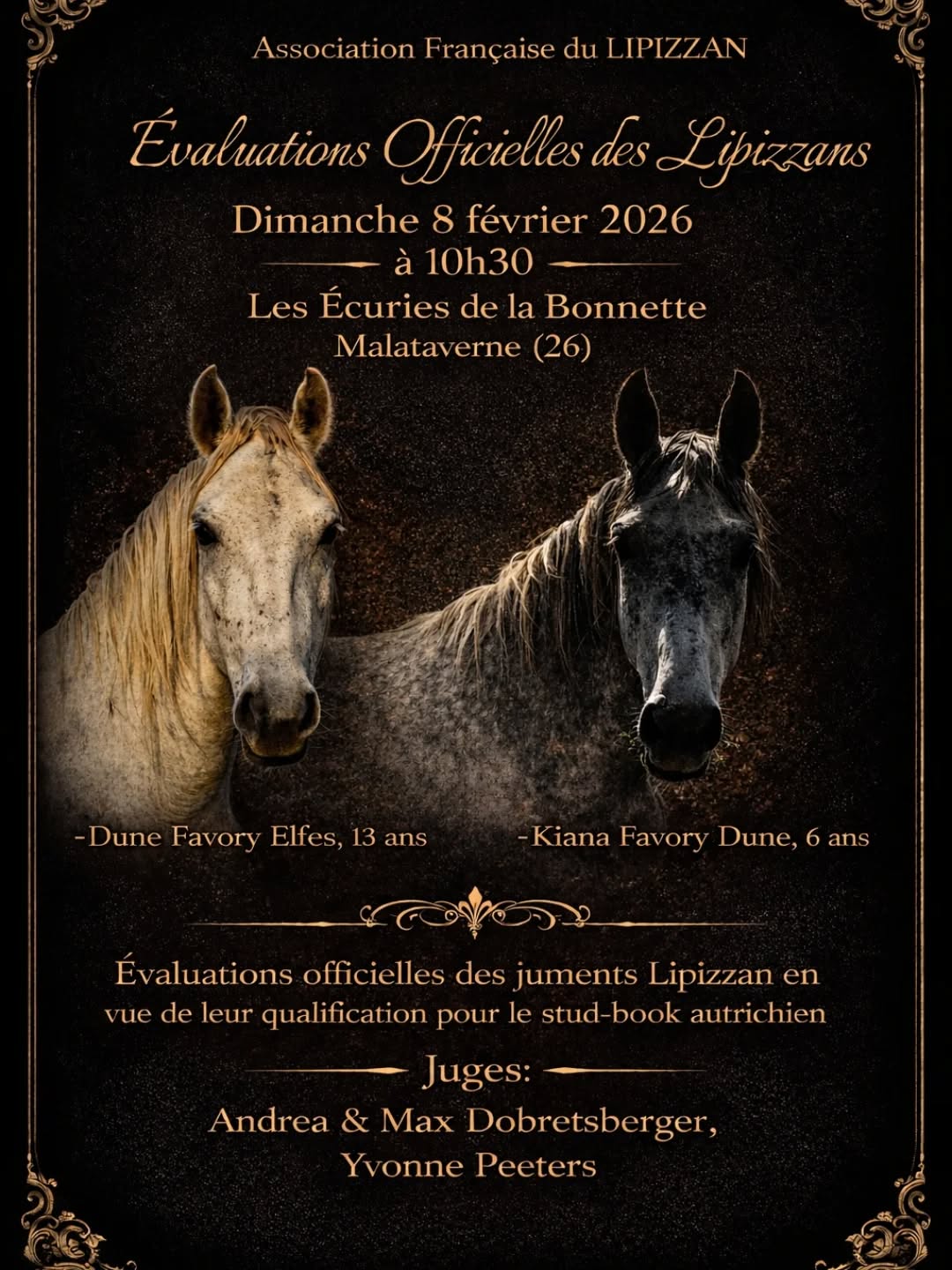 ✨ Évaluations officielles des Lipizzans ✨
L’Association Française du Lipizzan organise des journées d’évaluations officielles en vue de leur qualification au stud-book autrichien.
📅 Dimanche 8 février 2026
🕥 10h30
📍 Écuries de la Bonnette – Malataverne (26)
Nous présenterons :
🐴 Dune Favory Elfes (13 ans)
🐴 Kiana Favory Dune (6 ans)
Les évaluations seront réalisées par des juges internationaux :
🇦🇹 Andrea & Max Dobretsberger (Association Autrichienne du Lipizzan)
🇳🇱 Yvonne Peeters (Association Néerlandaise du Lipizzan)
Une journée placée sous le signe de la tradition, de l’excellence et de la passion du Lipizzan.
Éleveurs, passionnés et amateurs sont les bienvenus ✨
#Lipizzan #AFL #Élevage #Cheval #StudBook LipizzanFrance Évaluation Chevaux