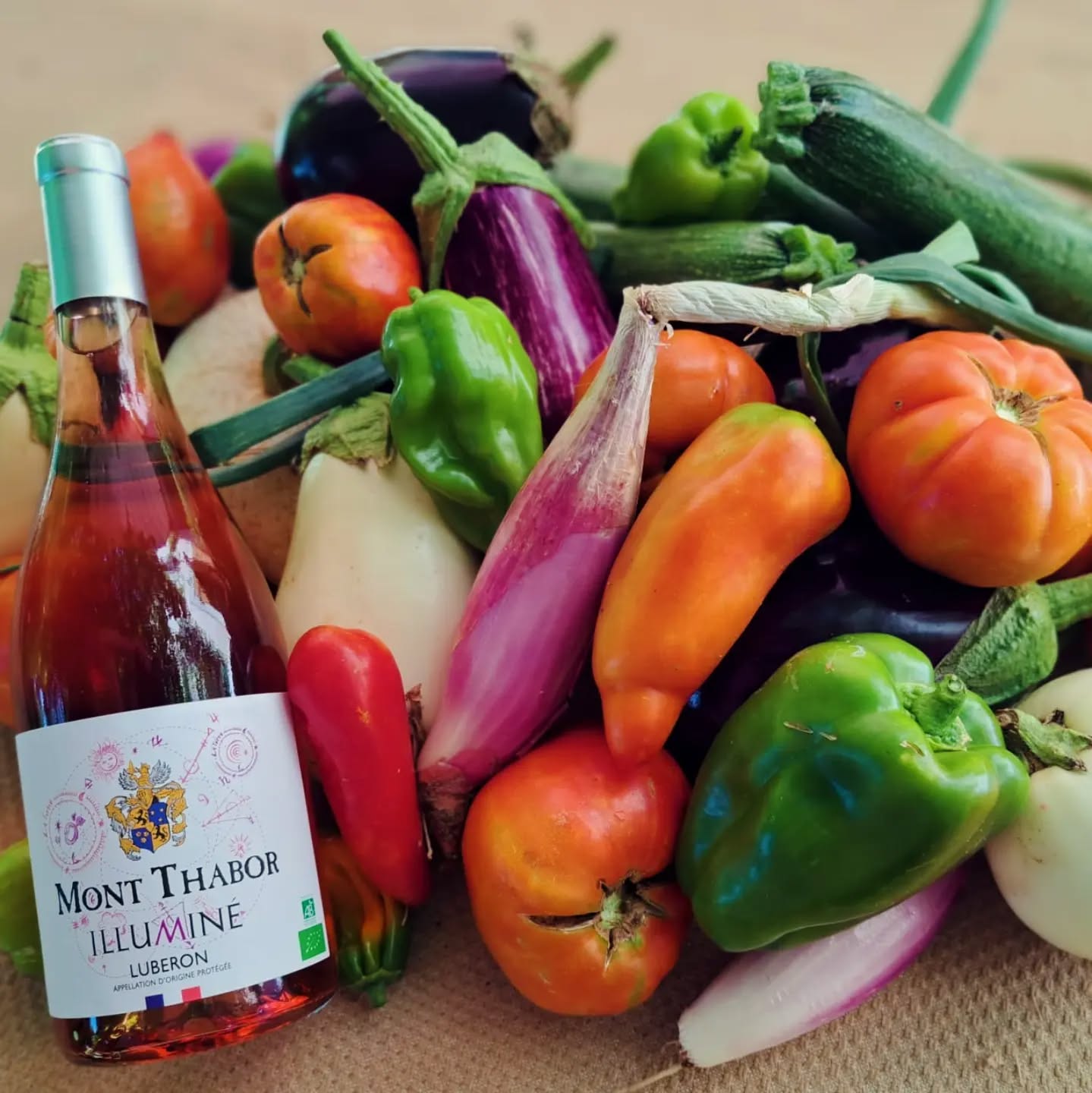 De retour du potager.
Back from garden.
🍅🫑🌶🧄
@vignoblesmontthabor
#lifestyle #luberoncoeurdeprovence
#cestcalavie