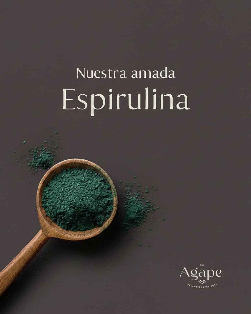 SABES QUÉ ES LA ESPIRULINA?✨
Si probaste nuestro smoothie Esmeralda, sabes que tiene ese color tan especial, y es gracias a la #espirulina.
Este superalimento es una microalga rica en proteínas, hierro, vitaminas y antioxidantes.
Es increíble por que fortalece el sistema inmunológico, mejora la resistencia física y reduce la inflamación.
Ven a probarlo para ver cómo te siente! 💛