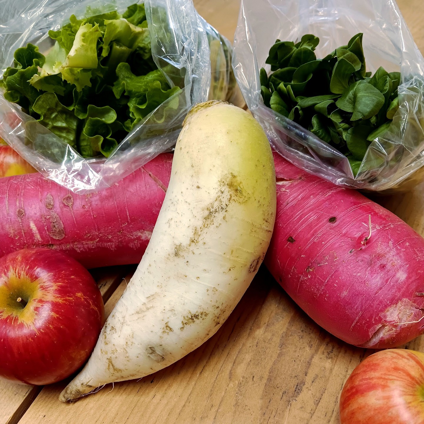 How lucky we are to get to enjoy local fruit and vegetables in the dead of winter! â
â
Steadman Road Market Garden has our needs for greens covered with their hydroponic lettuce and microgreens while Boates Farm and Elderkin's Farm Market provide us with deliciously sweet apples every week. â
â
Maybe you've seen these colourful root veggies at the Longspell Point Farm booth at the Market before. They are a type of winter radish called daikon and they can be used in soups and stews, roasted or eaten raw in salads. It's our first week having them available on WFM2Go this winter and we're happy to have them back! â
â
#wolfvillefarmersmarket #wolfville #annapolisvalley #novascotia #farmersmarket #wfm2go #shoplocal #eatlocal #buylocal #supportlocal #freshproduce #community #letsdothis