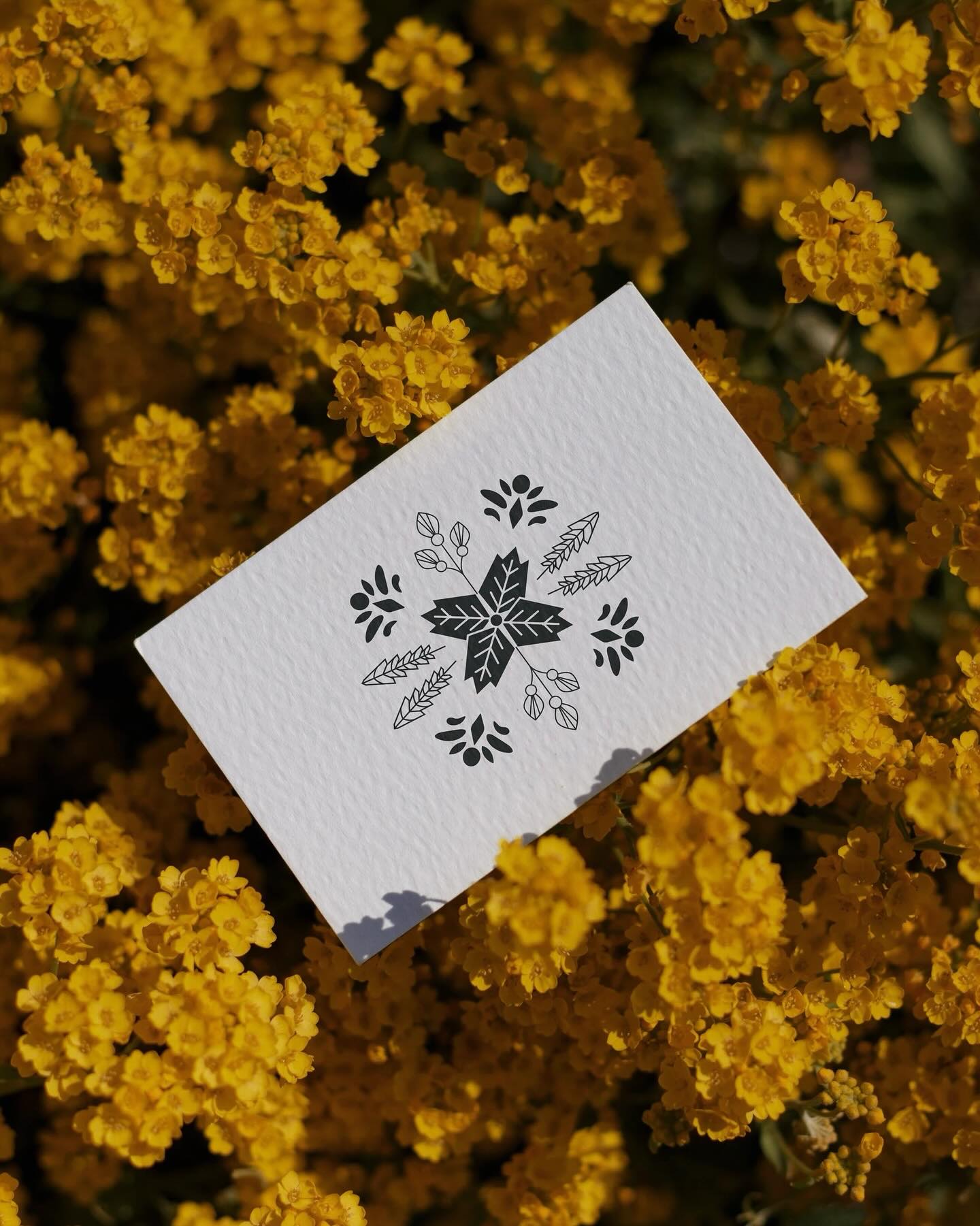 Heti means home, and this project was about translating that feeling into a brand you can taste.
Inspired by Indigenous Dakota culture, we created a brand identity and packaging system that blends ancestral wisdom with a contemporary voice. From native plant illustrations to balanced, geometric compositions, every element was designed to reflect harmony, healing, and a deep sense of place.
Effortless Wisdom became the guiding idea, celebrating plants, culture, and community while keeping the system modern, respectful, and timeless. A brand rooted in home, connection, and purpose.
—-
We design brands that feel right, because they are built right.
Award Winning Brand Design Studio with focus on Strategy, Brand Identity, Packaging and Web Design.