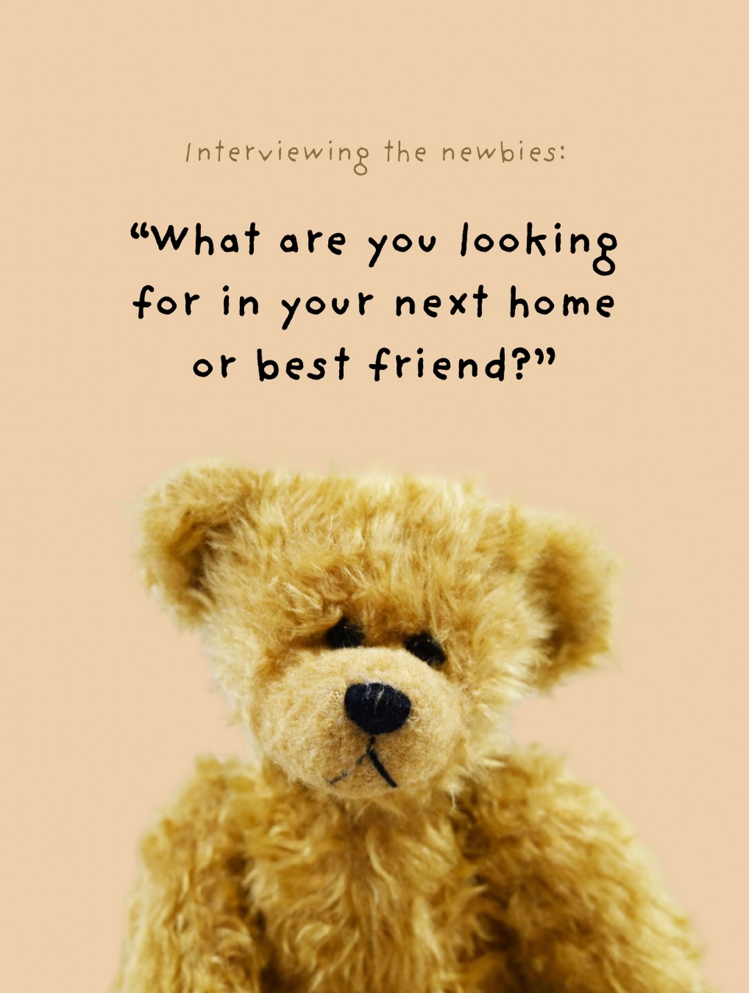 Who would suit your home best? 🤔🥹♥️ Newbies landing at 8pm!