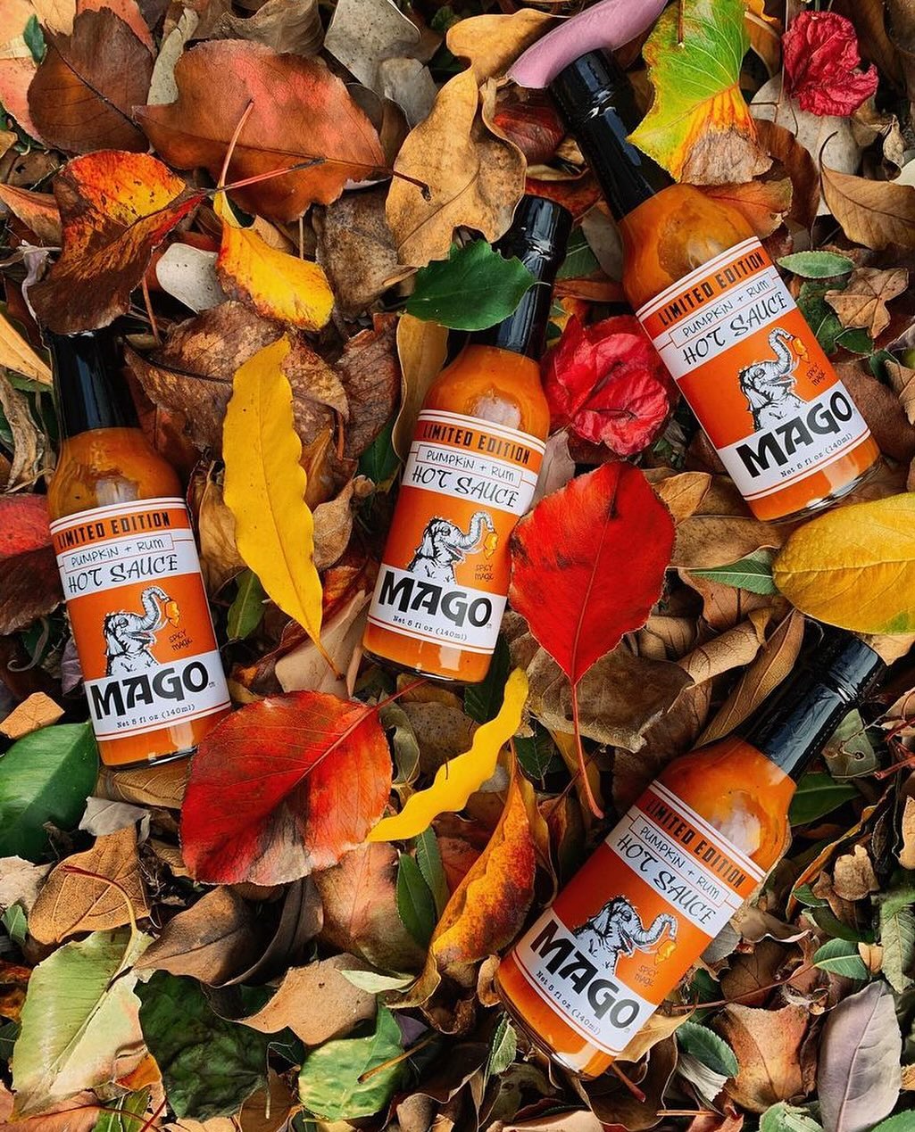 Pumpkin + Rum Hot Sauce 🎃
Believe it or not, this is many of our customers’ favorite sauce we make. Not a fan of pumpkin pie or pumpkin spice lattes? They’re not really our thing either, but this is different. Pumpkin is actually a great hot sauce ingredient.
It’s amazing with all the fall food and Thanksgiving dishes, but it’s also a year-round sauce for tacos, curries, and more. Trust, Mago Tribe 🌶