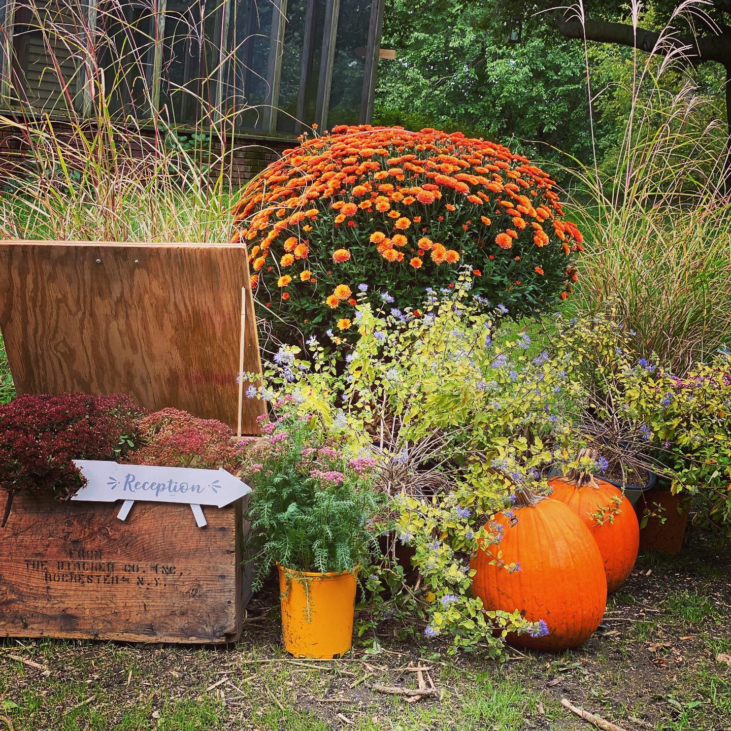 FALL, we’re ready for you! 🎃 🍁 #spookyseason #leafpeepers #hudsonvalley #newburghny