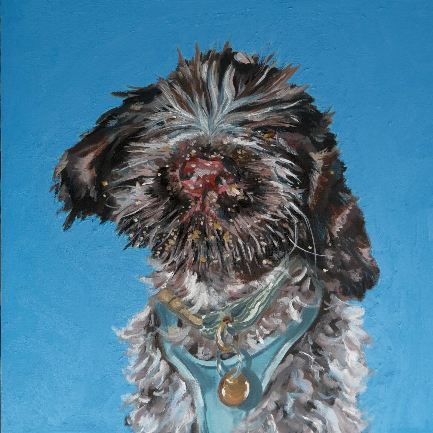 Bramble - 14 Weeks Old (2026) oil paint and stick on canvas, 40x40cm
#oilpainting #petportrait #canvas #oilpaint #fyp