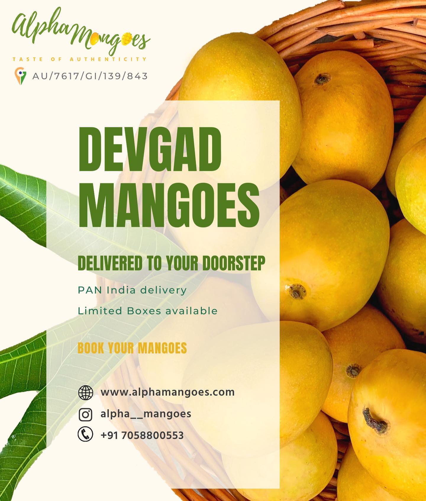 Delicious every bite 🤤
Order ypur devgad alphonso mangoes today
📦Delivering PAN india.
🥭 One of a kind with replacement guaranteed
🎖GI certified
#instagood #koton #mangolover #bhfyp #healthylifestyle #chocolate #sweet #shopping #sale #follow #banana #style #mangosale #trendyol #smoothie #k #coconut #foodlover #orange #a #foodblog #trendymango #n #trending #viral #premium #kokan #photography #devgad #mango