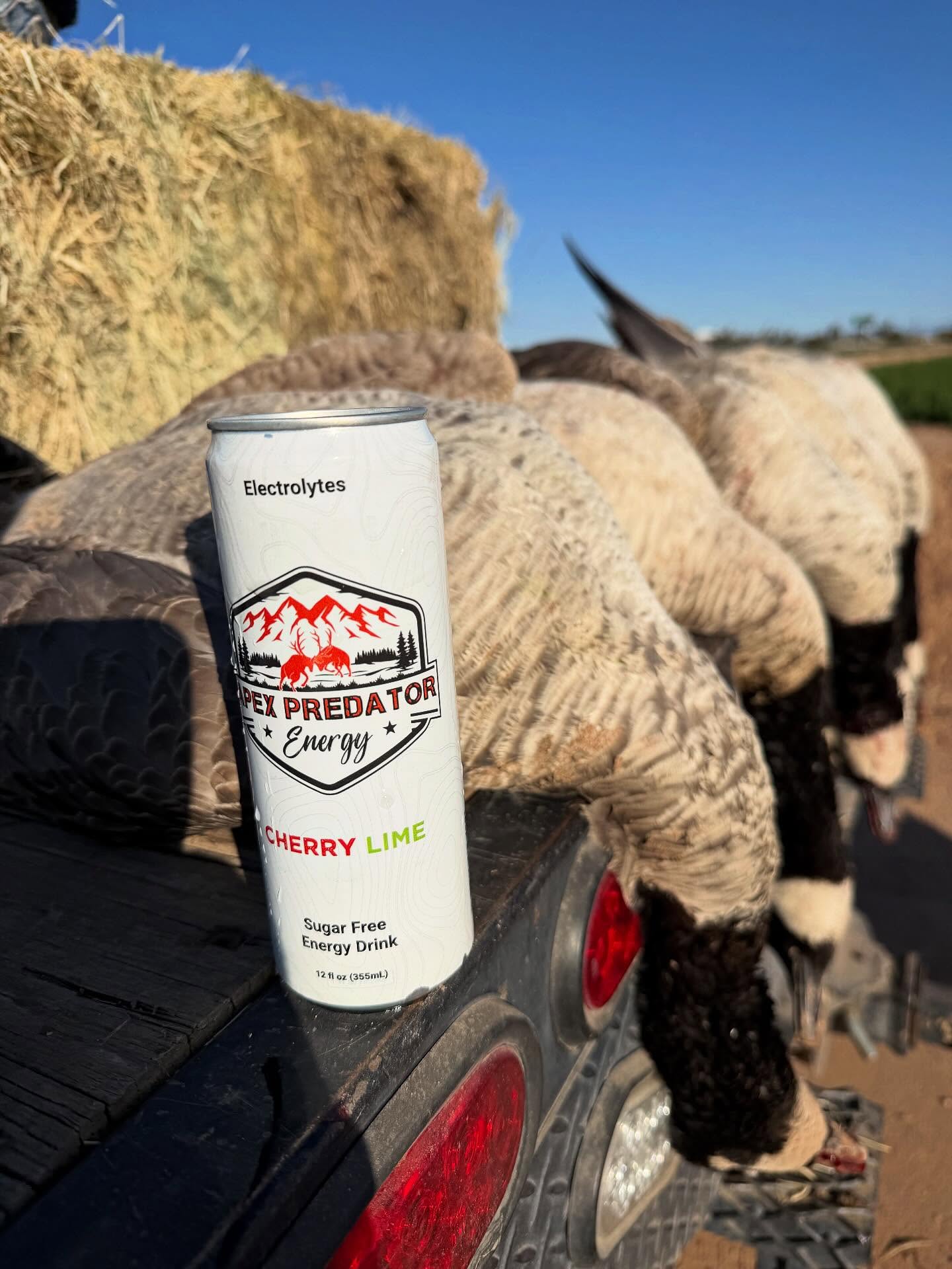 Early mornings. Steady focus.
#apexpredatorenergy #huntaz #waterfowl