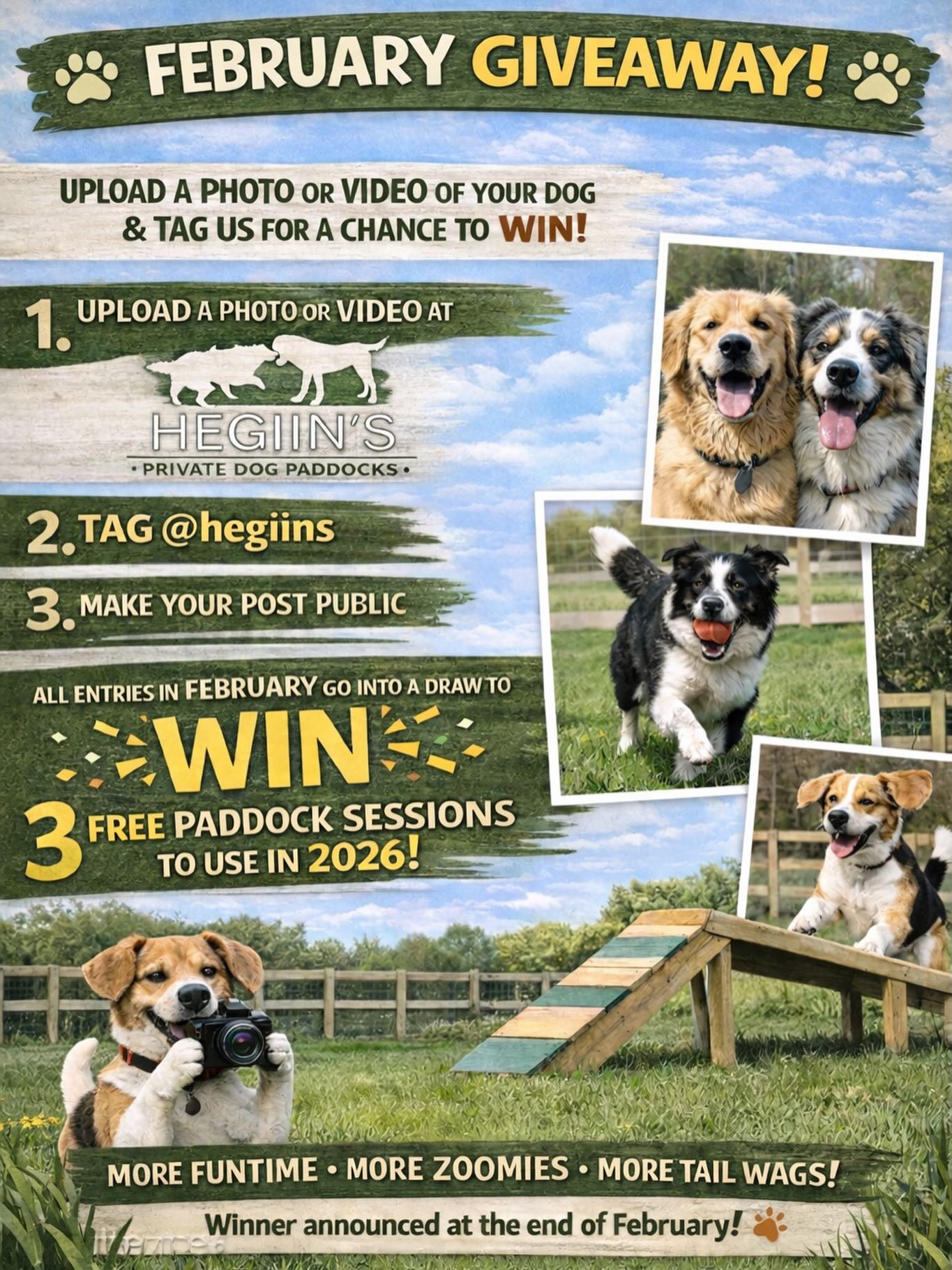 🐾 FEBRUARY GIVEAWAY 🐾
Got a picture or video of your dog loving life at Hegiin’s Private Dog Paddocks? 📸
We want to see it!
How to enter:
🐶 Upload a photo/video of your dog enjoying our paddocks
📲 Tag @hegiins
💬 Make sure your post is public
Every tagged photo/video in February will be entered into a draw to WIN 3 FREE PADDOCK SESSIONS to use in 2026 🎉🎉
More playtime. More zoomies. More tail wags.
Winner announced at the end of February 🐕✨
#fyp #dogs #giveaway